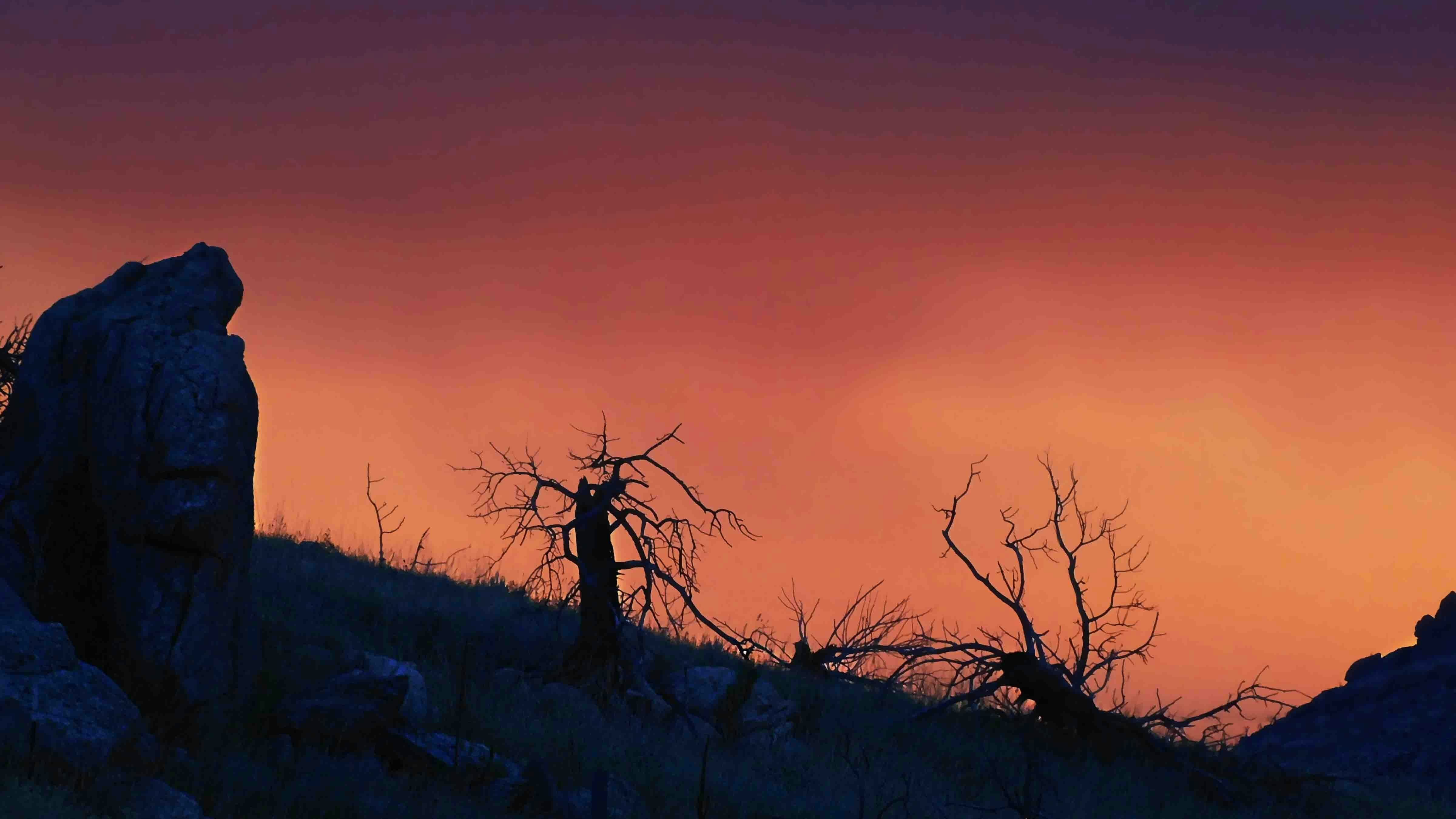 Sunrise 8 7 25