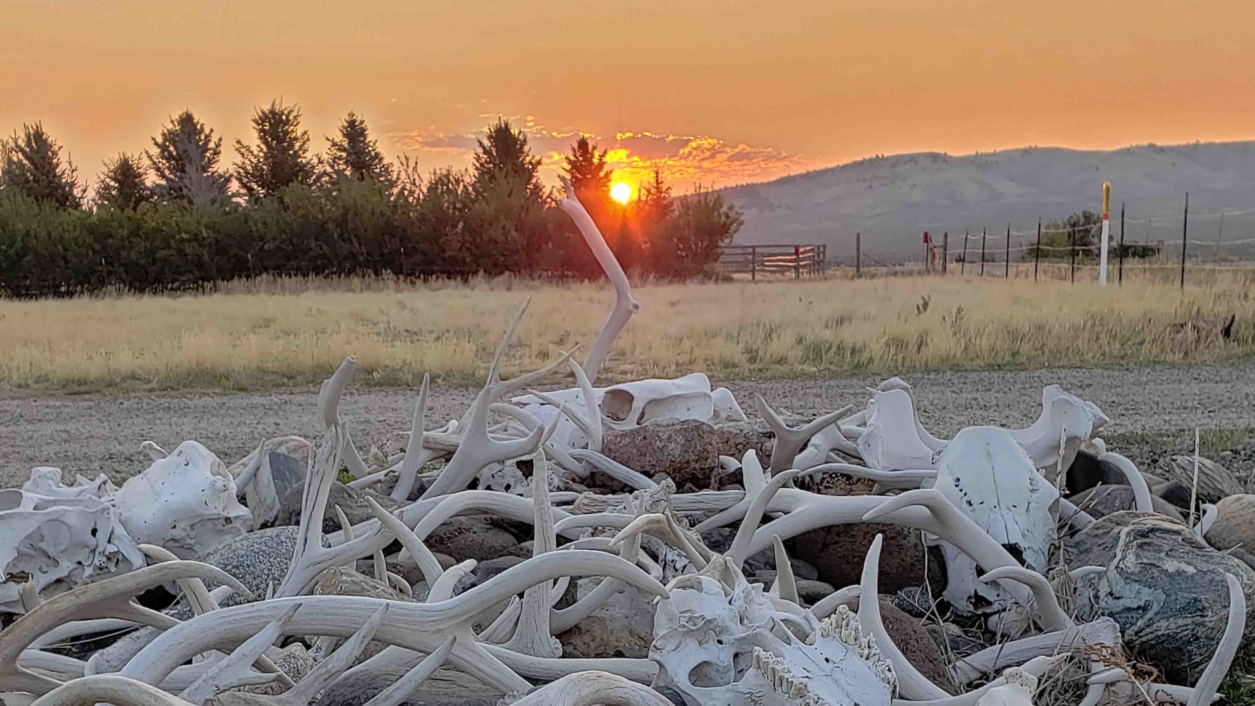 Sunrise 9 17 21 scaled