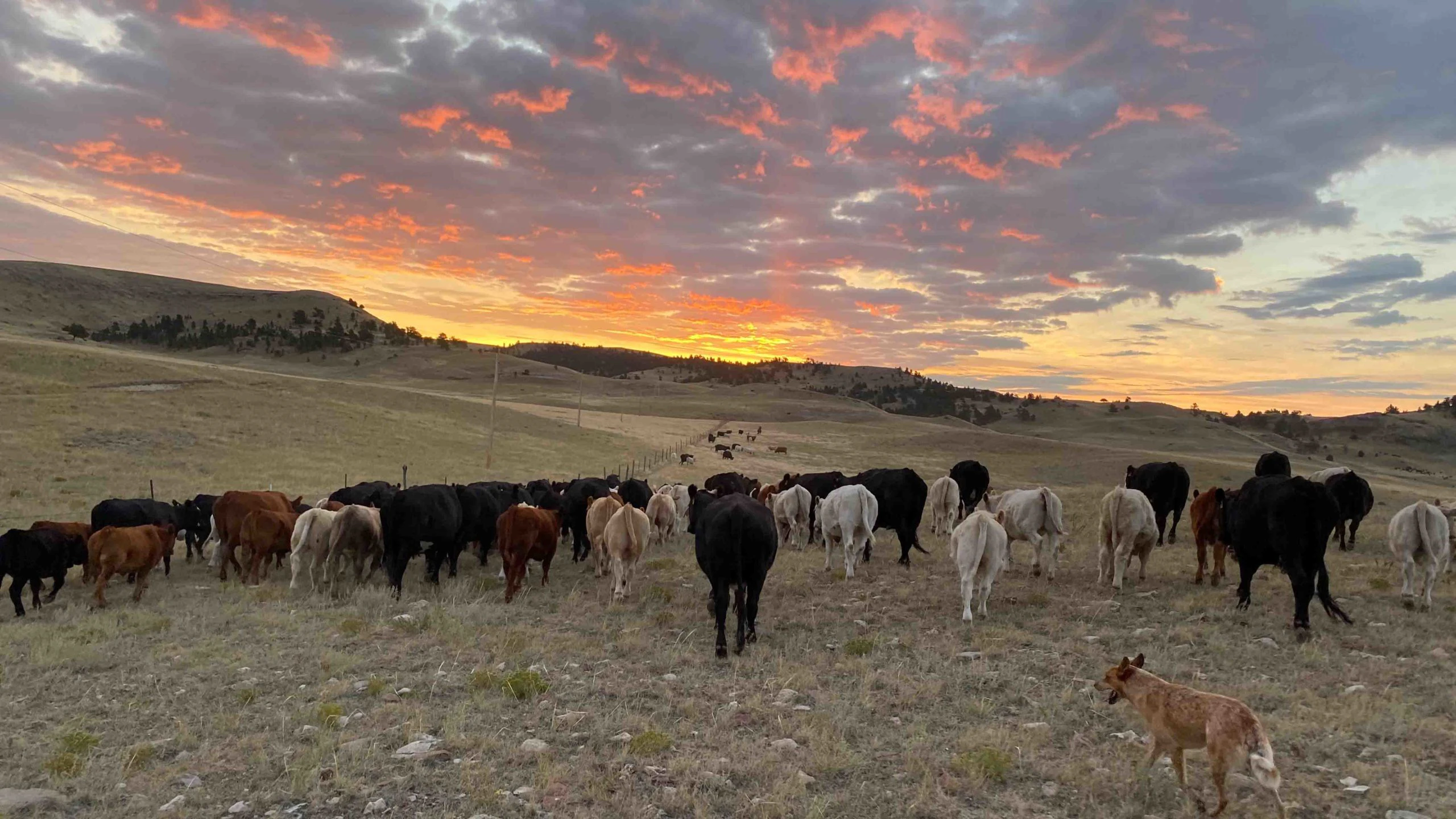 Sunrise 9 28 21 scaled