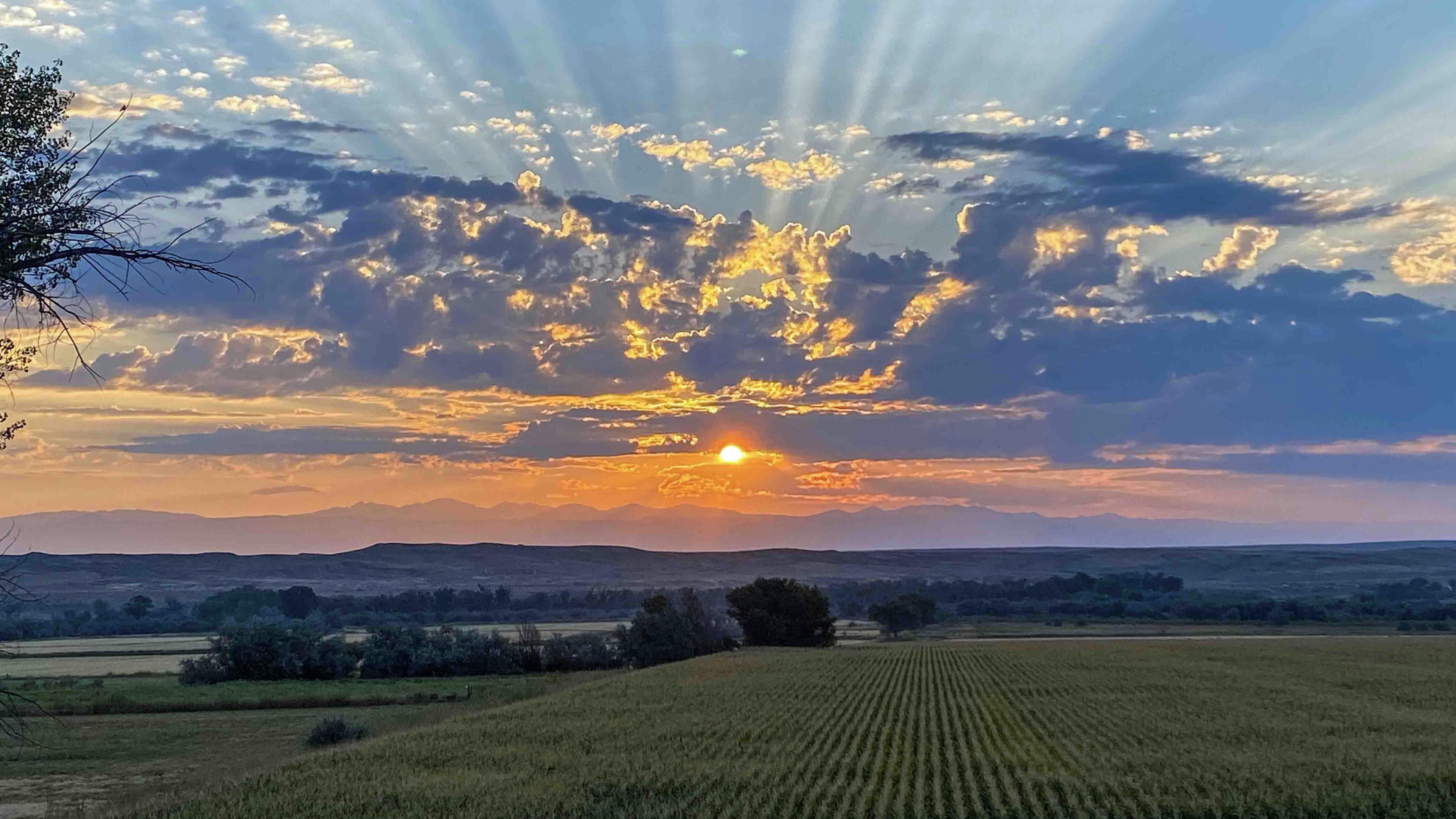Sunrise 9 6 25