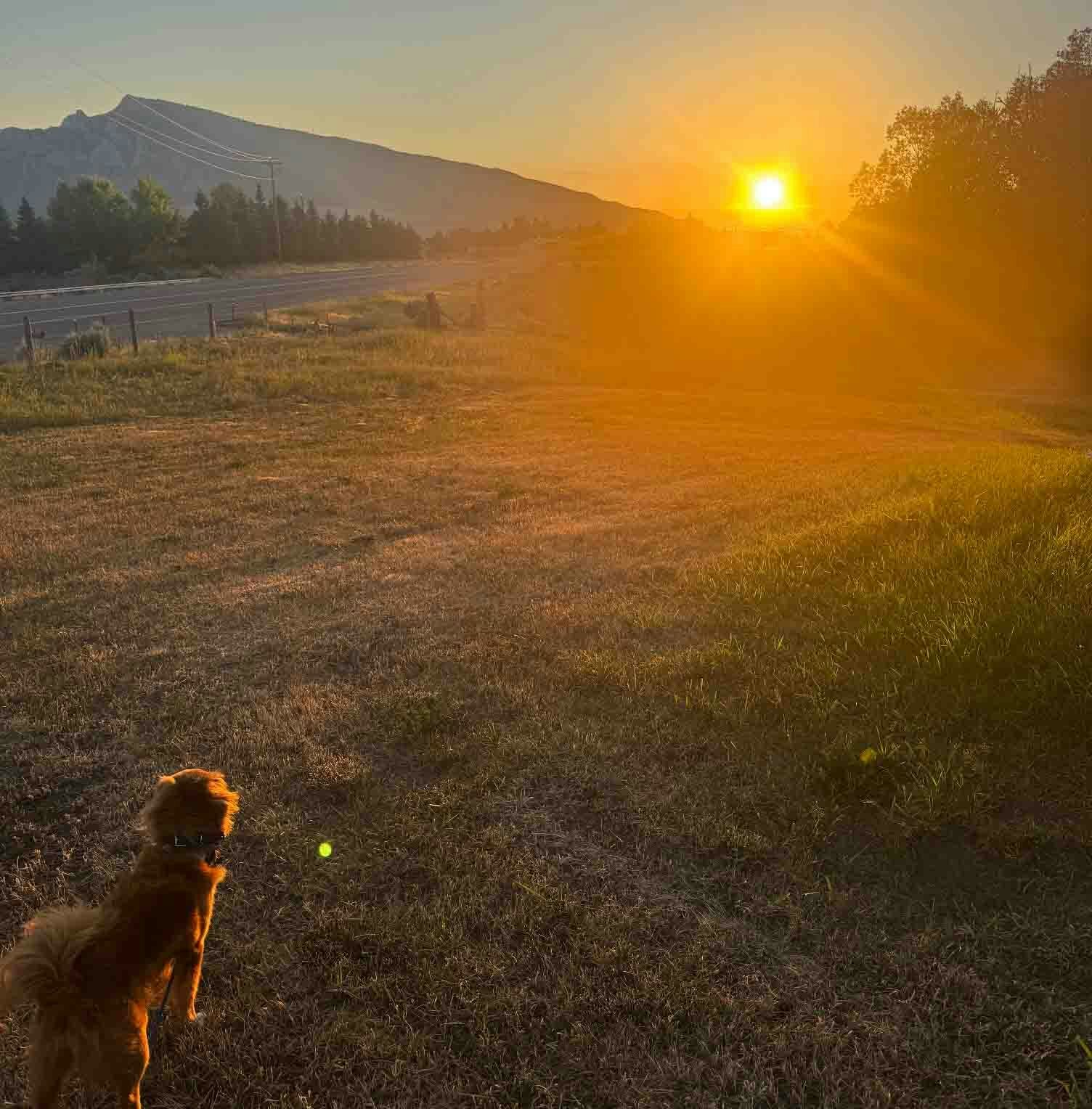 Sunrise full 7 6 25