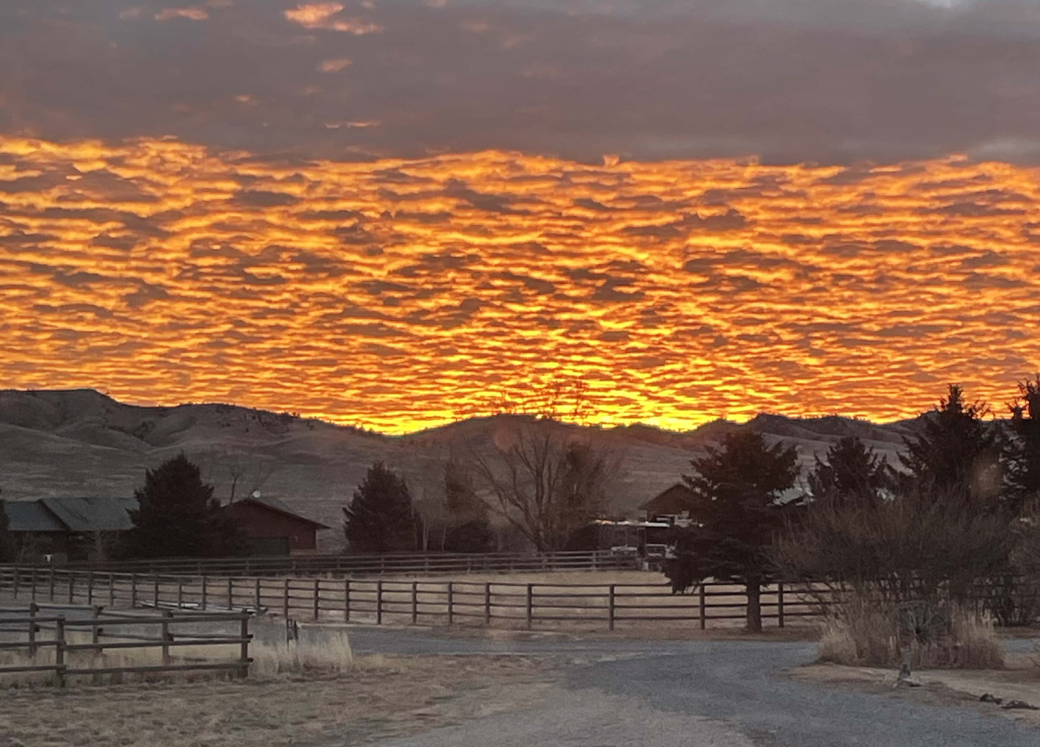 Sunrise large 1 19 26