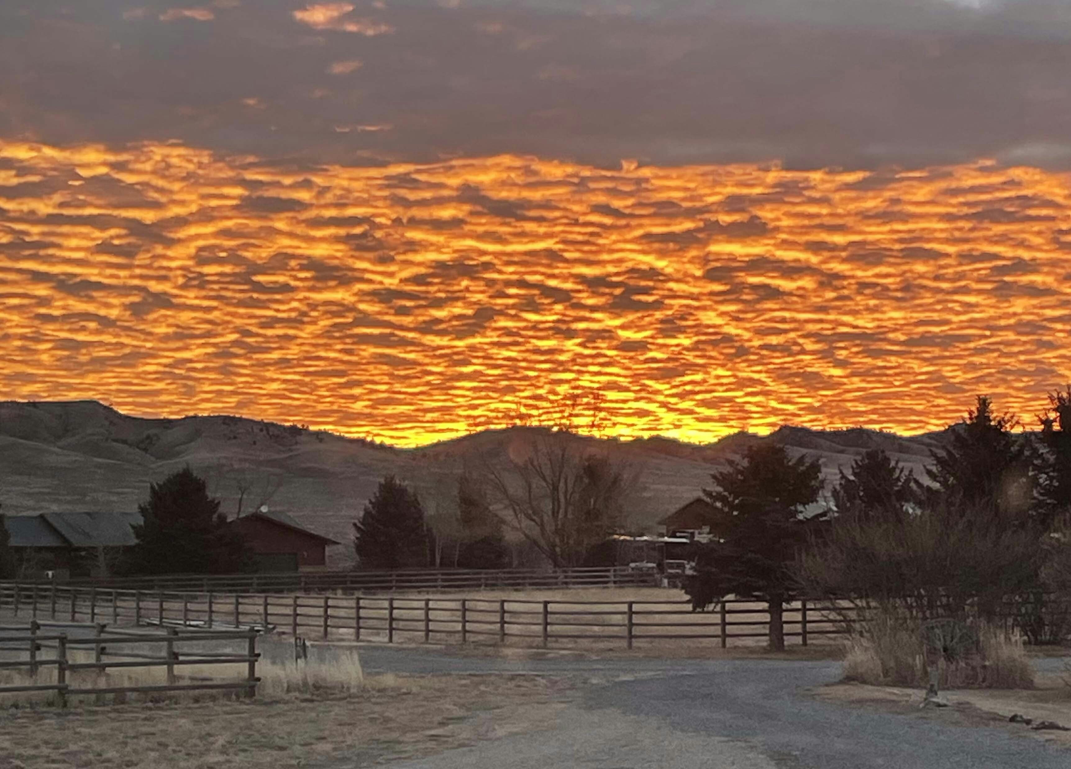 Sunrise large 1 19 26