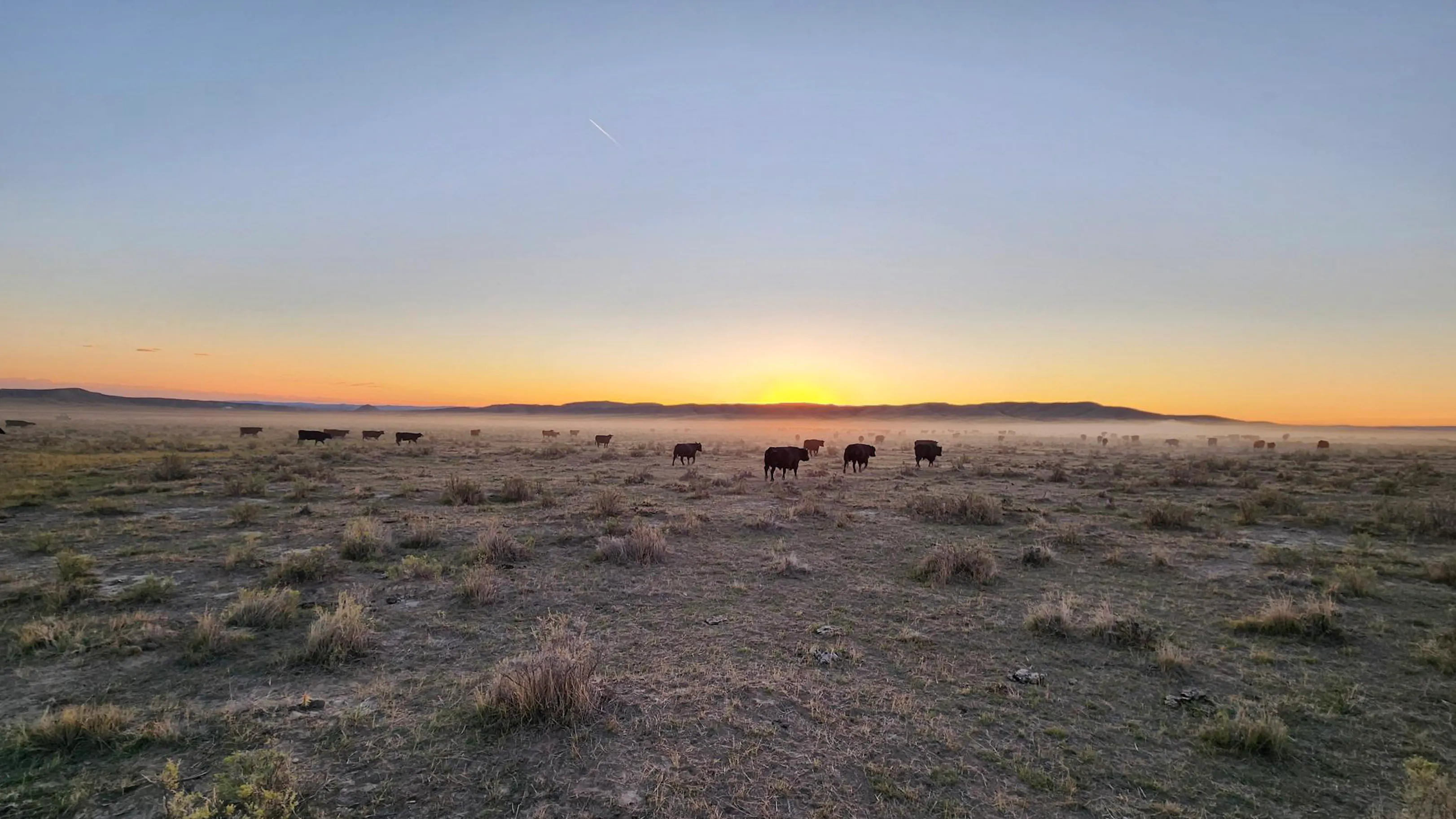 Sunrise site 10 5 26