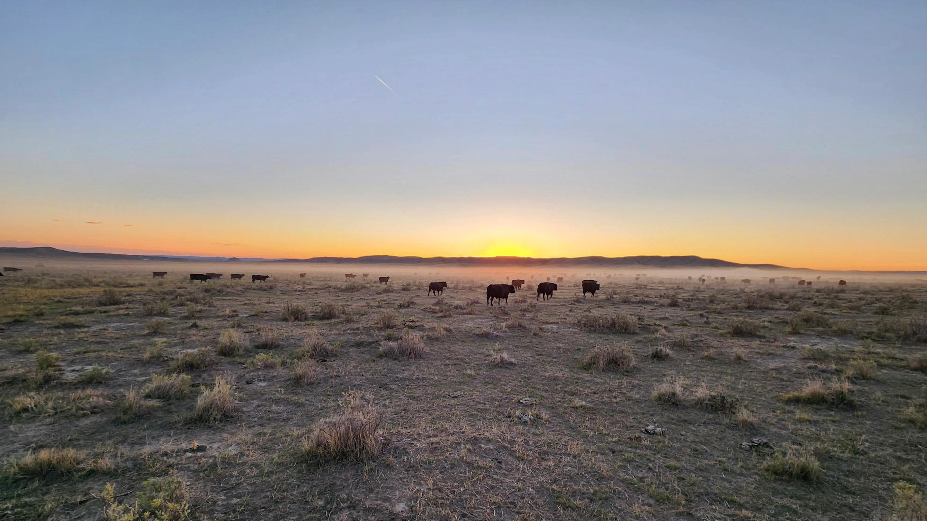 Sunrise site 10 5 26