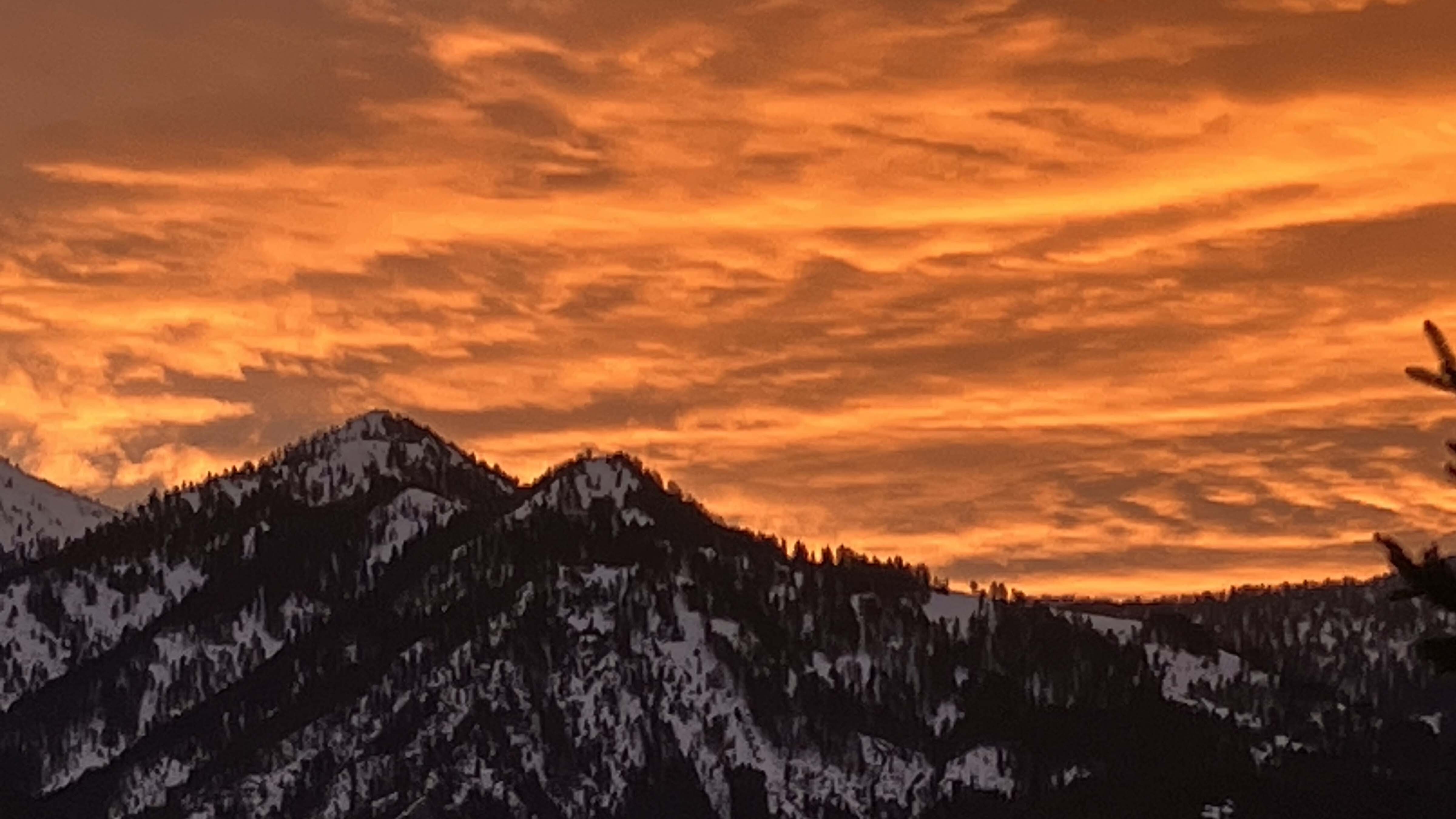 Sunrise small 1 11 26