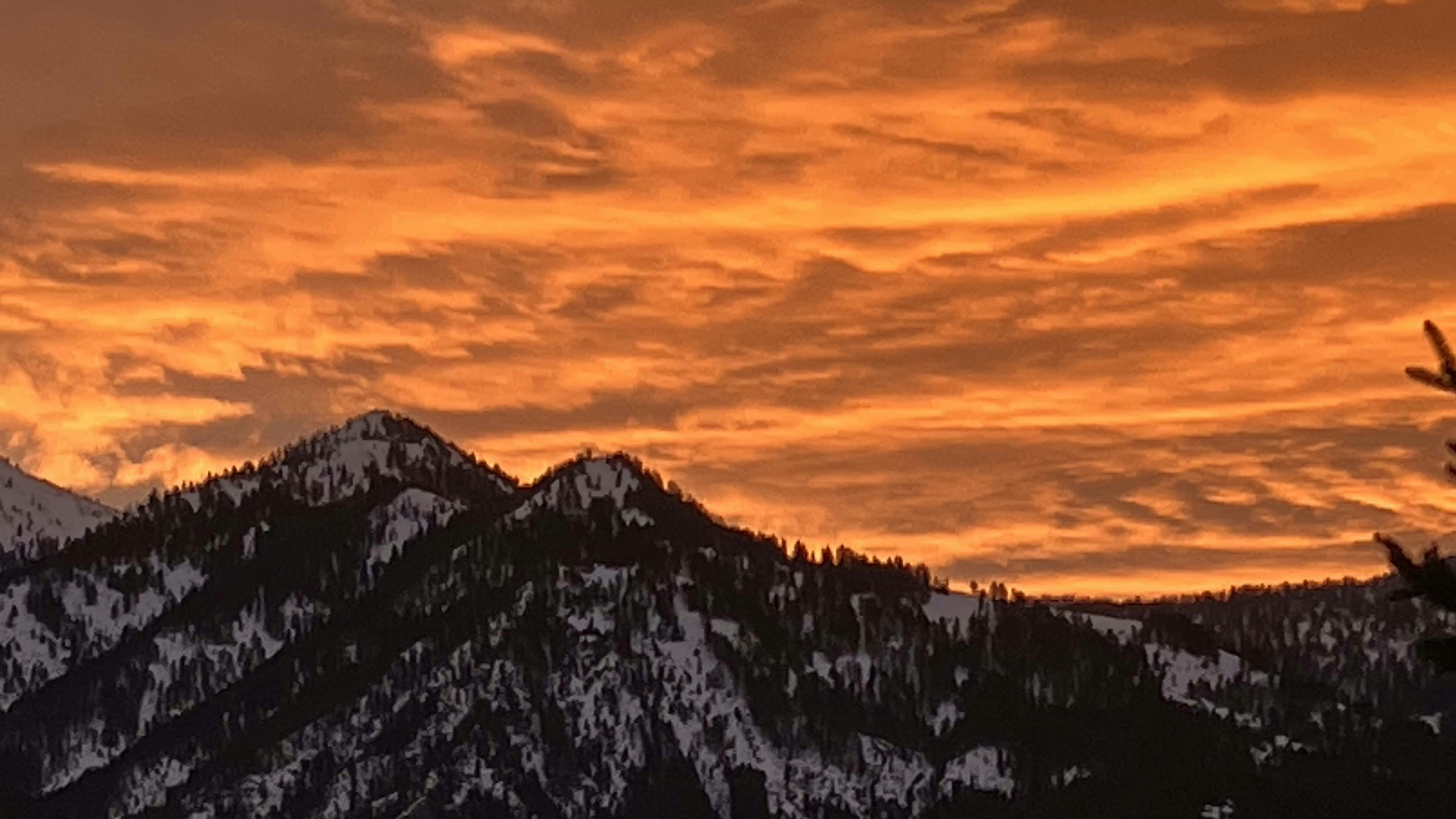 Sunrise small 1 11 26