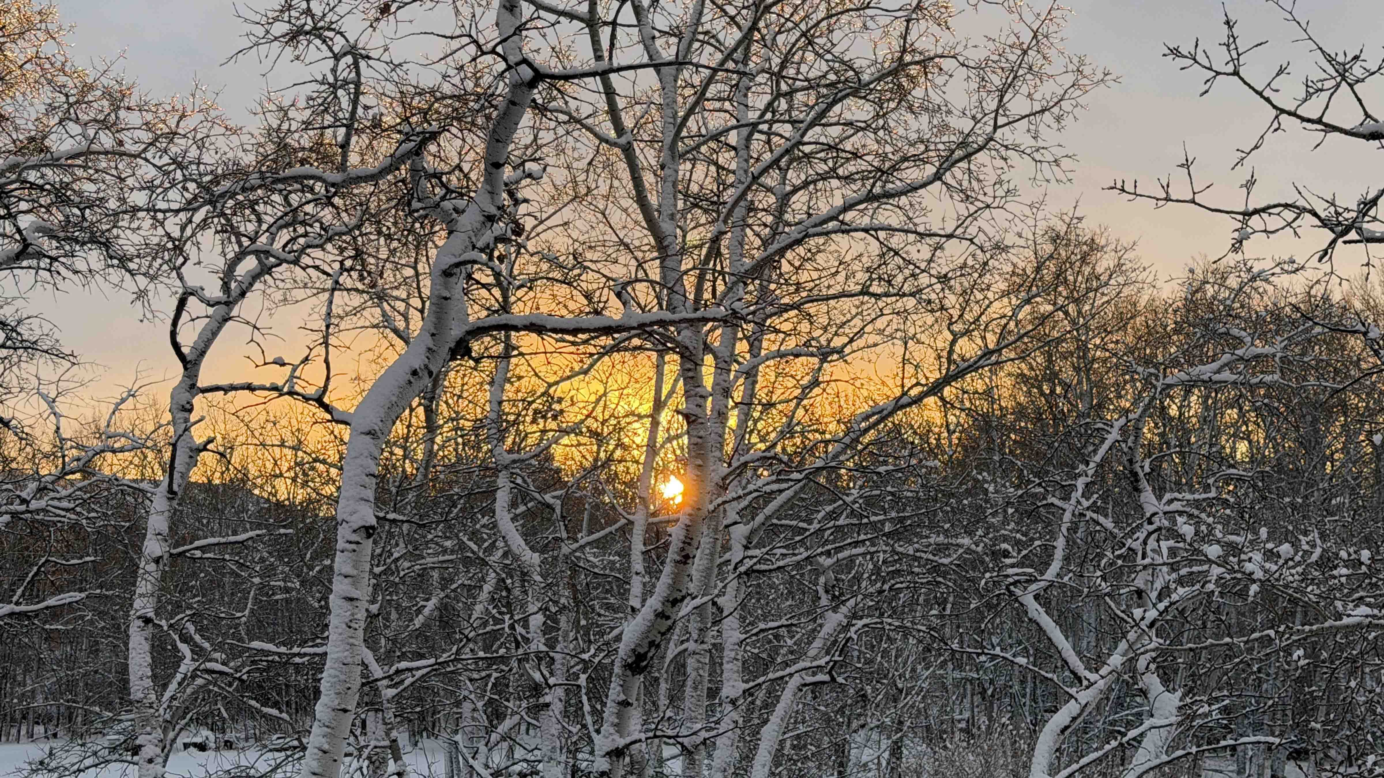 Sunrise small 1 25 26