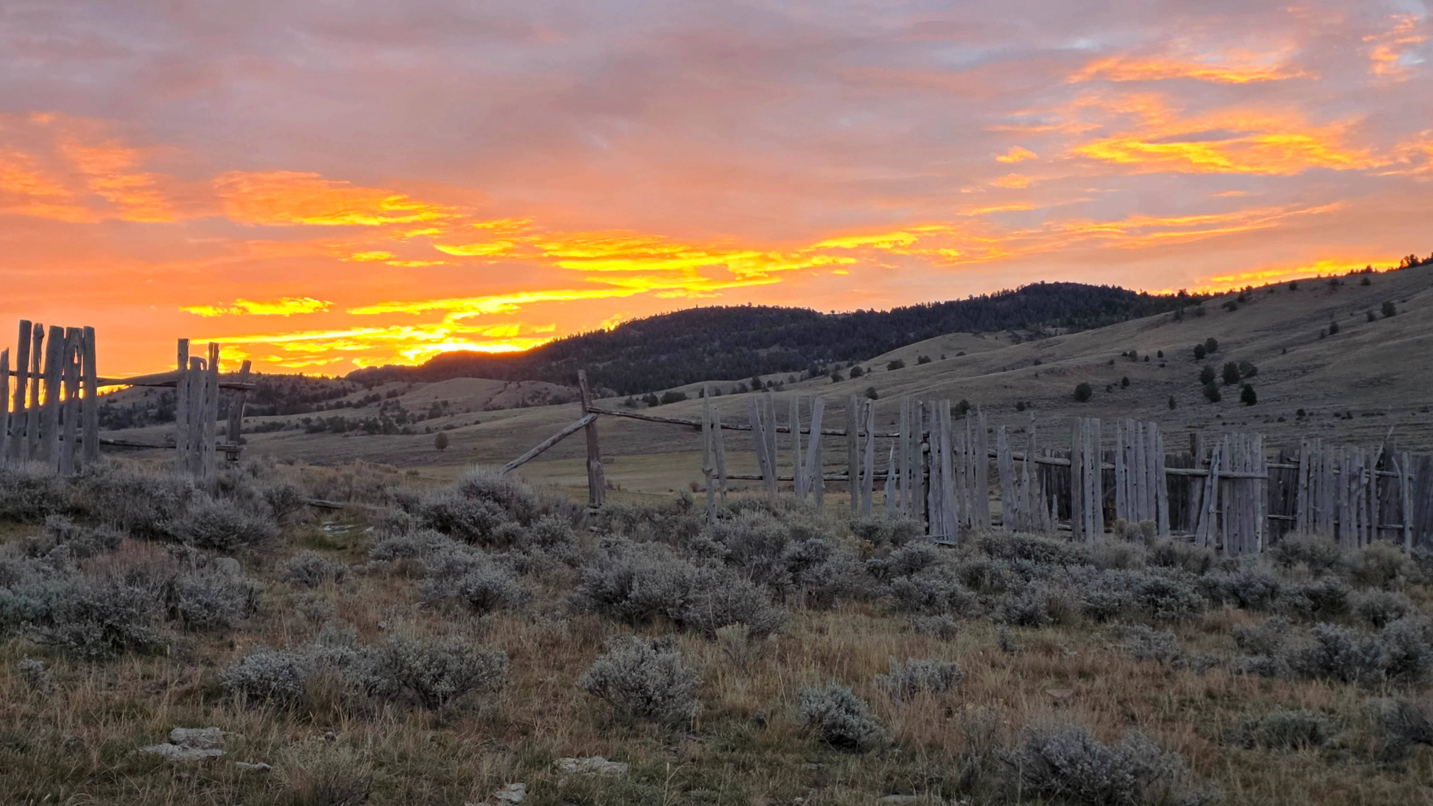 Sunrise small 10 23 26