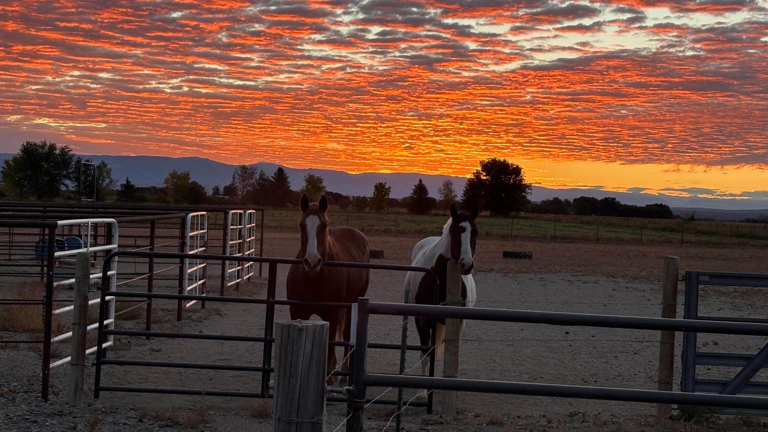 Sunrise small 10 3 26