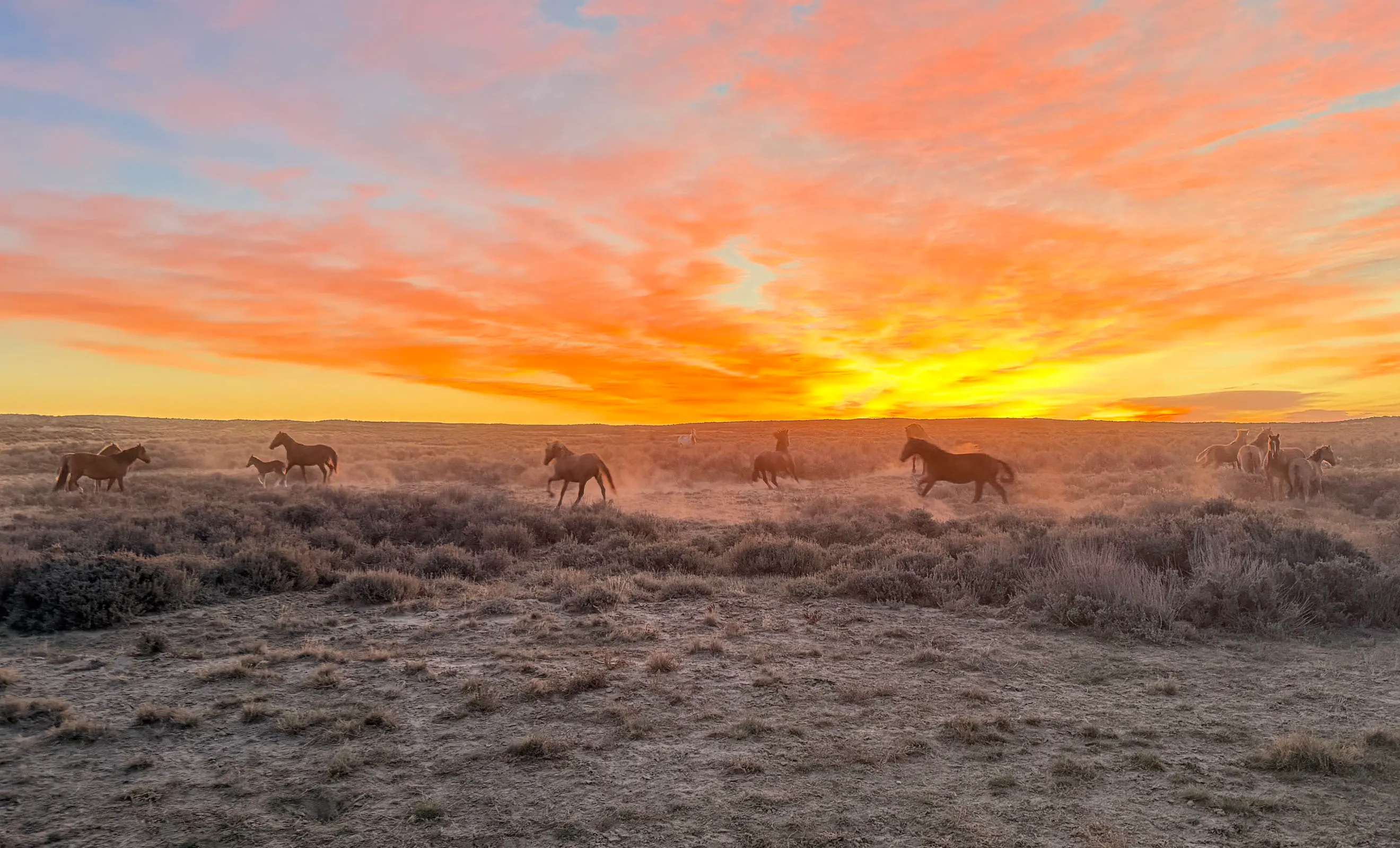 Sunrise small 10 7 26