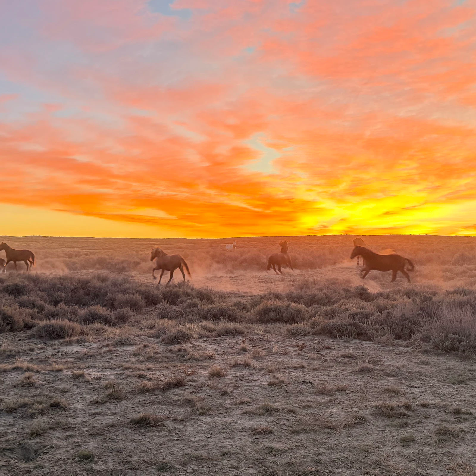 Sunrise small 10 7 26