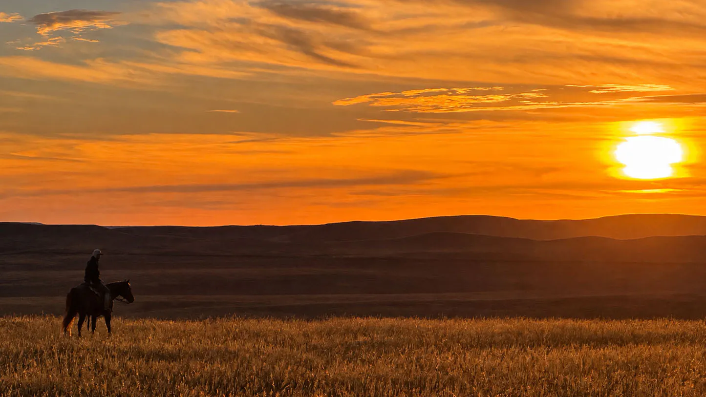 Sunrise small 10 8 26