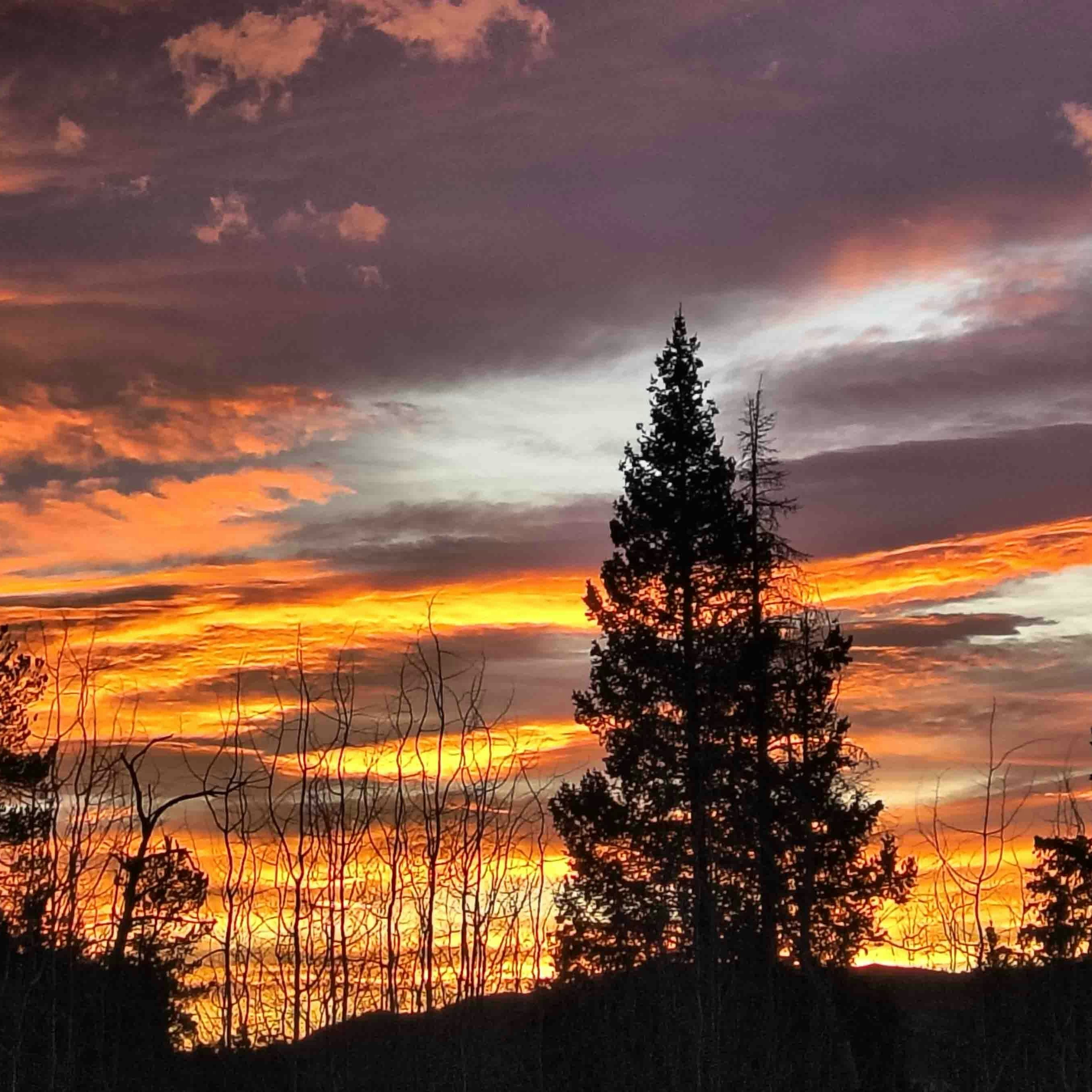 Sunrise small 11 10 25