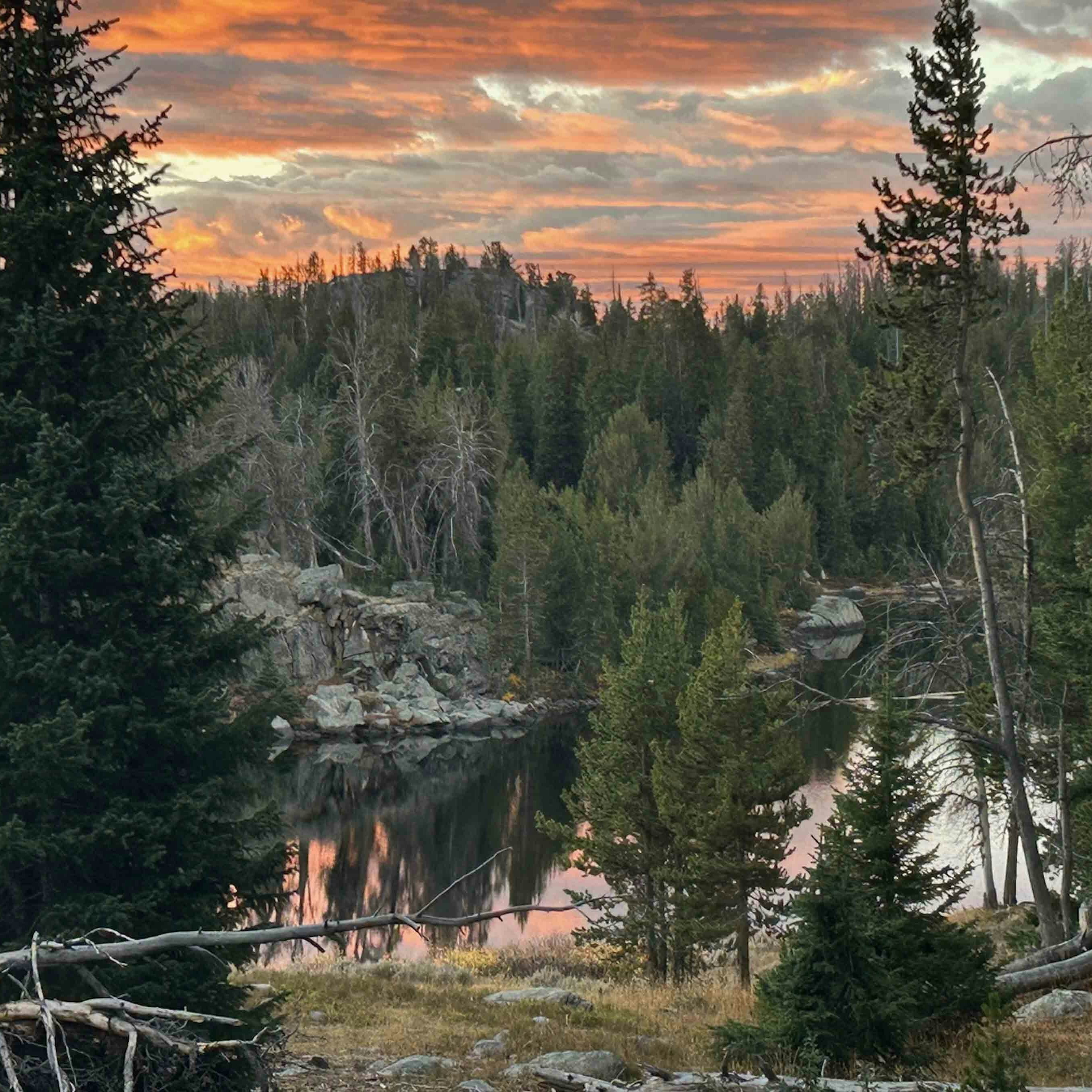 Sunrise small 11 20 25