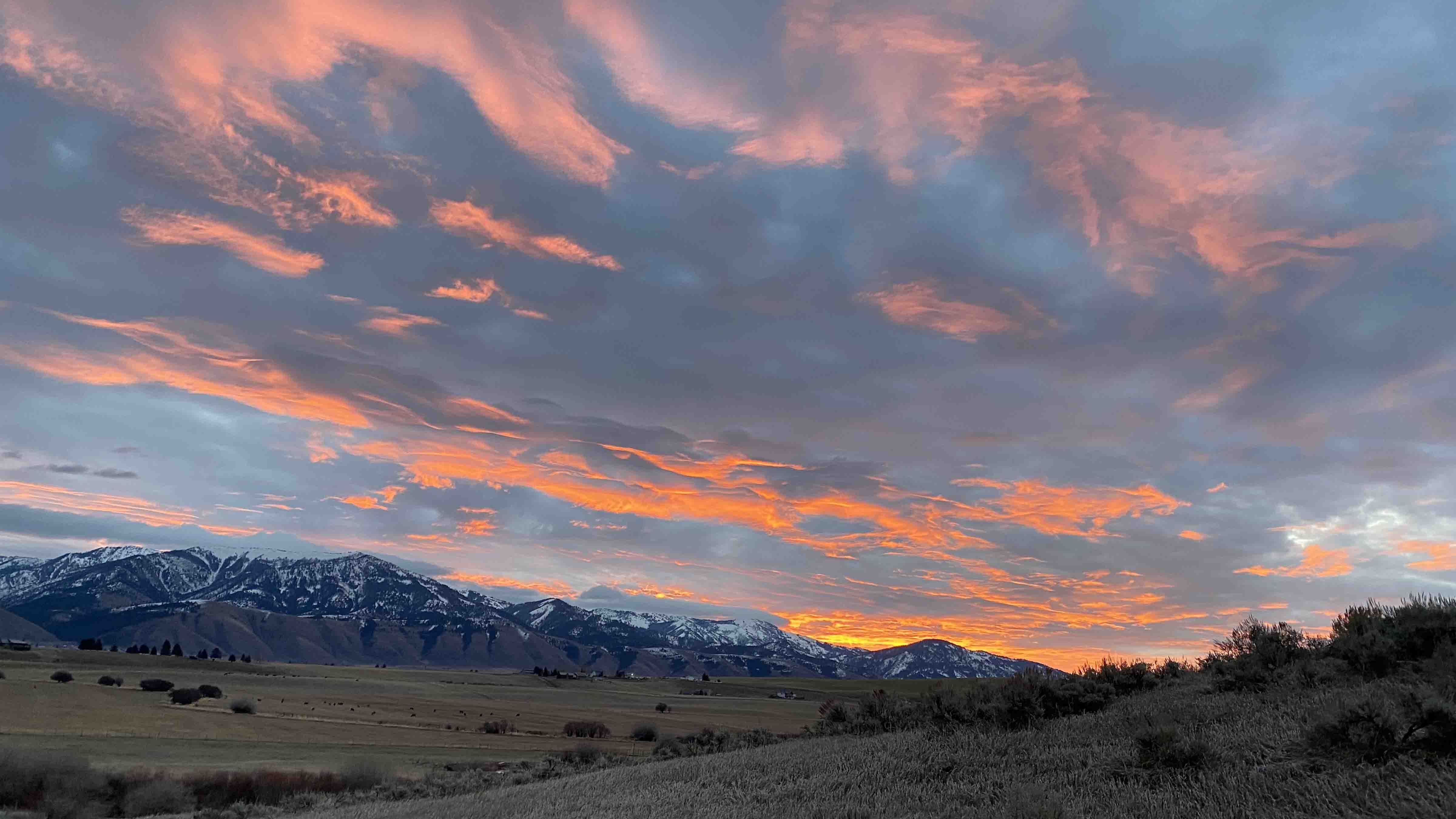 Sunrise small 11 27 25