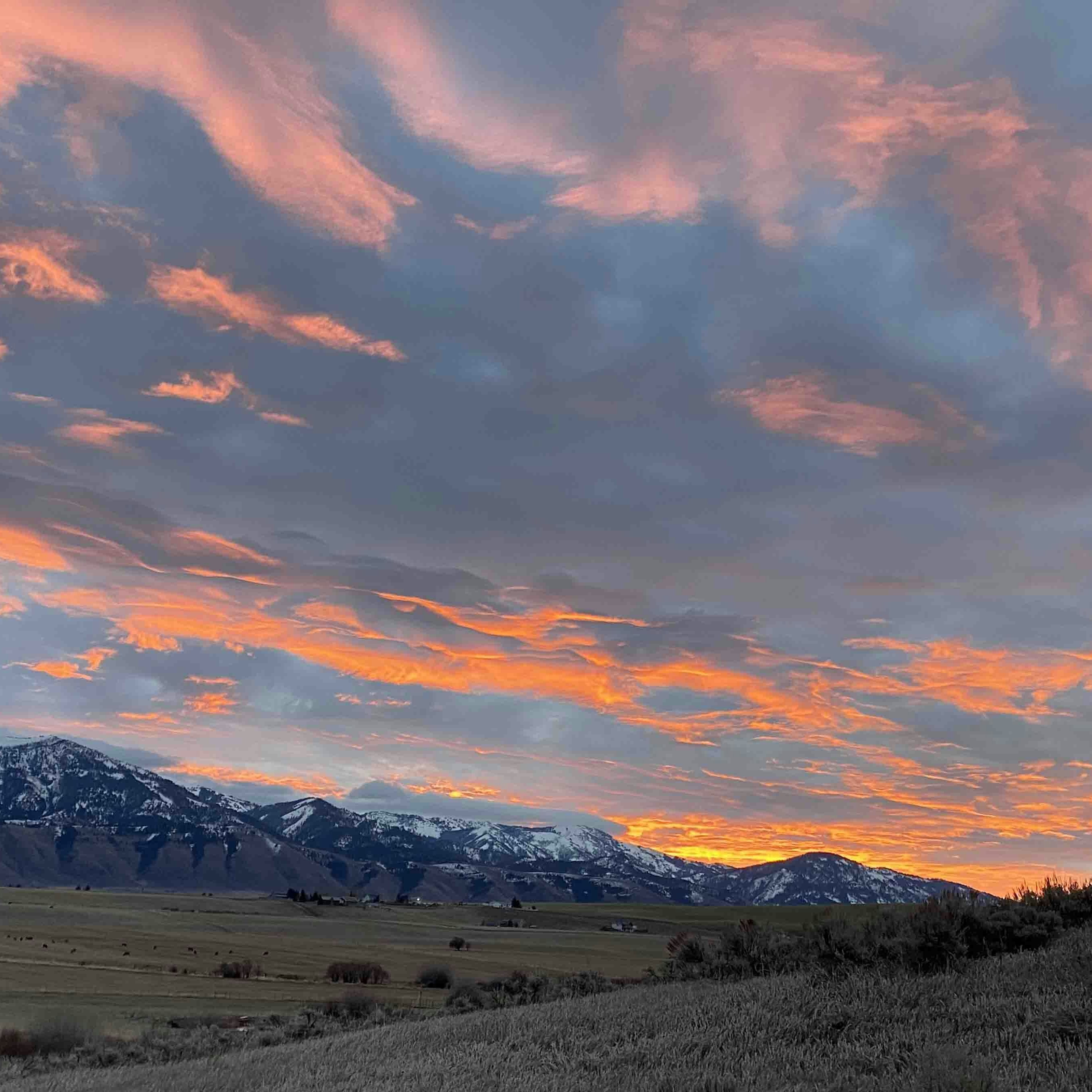 Sunrise small 11 27 25