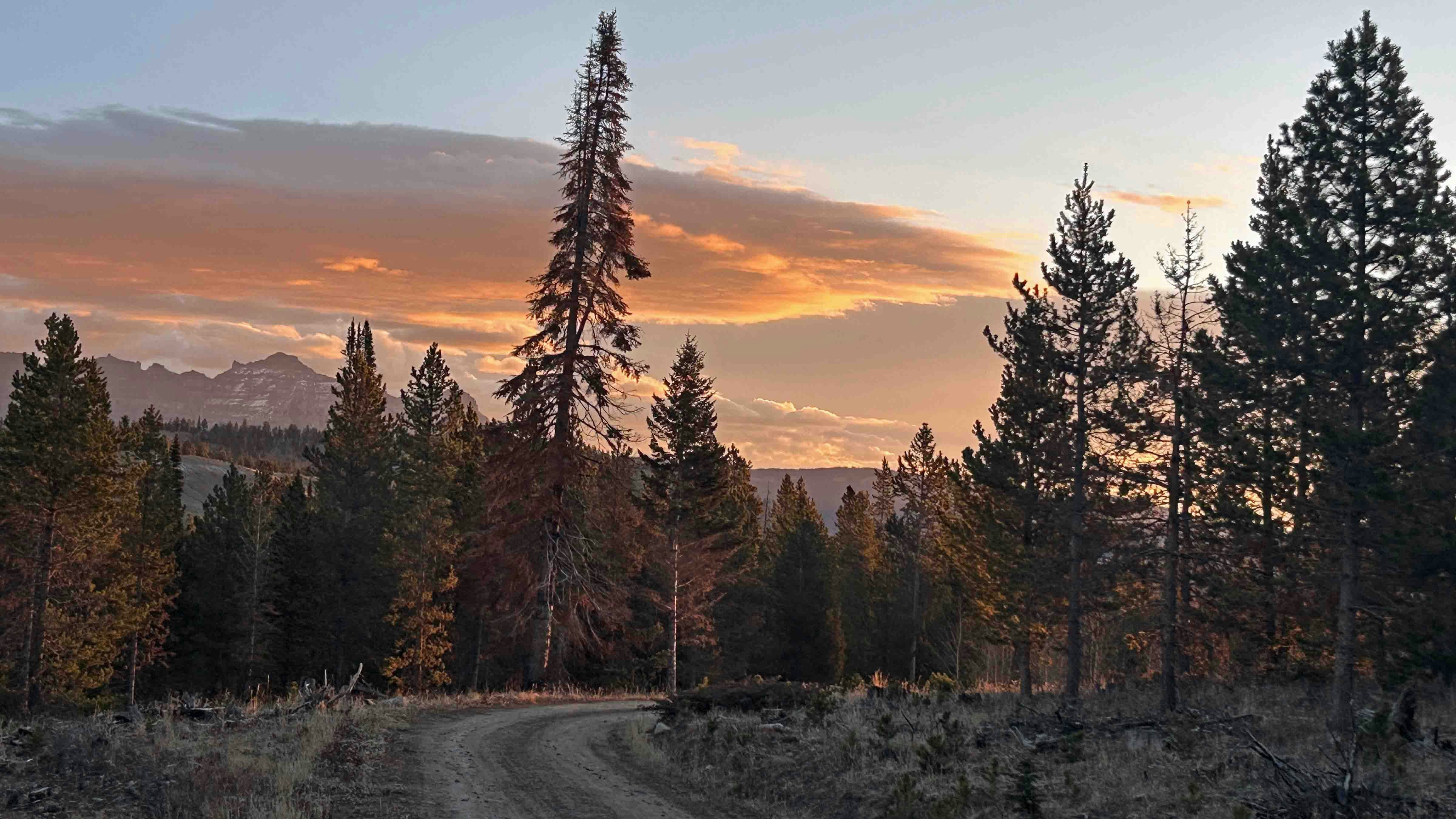 Sunrise small 11 6 25