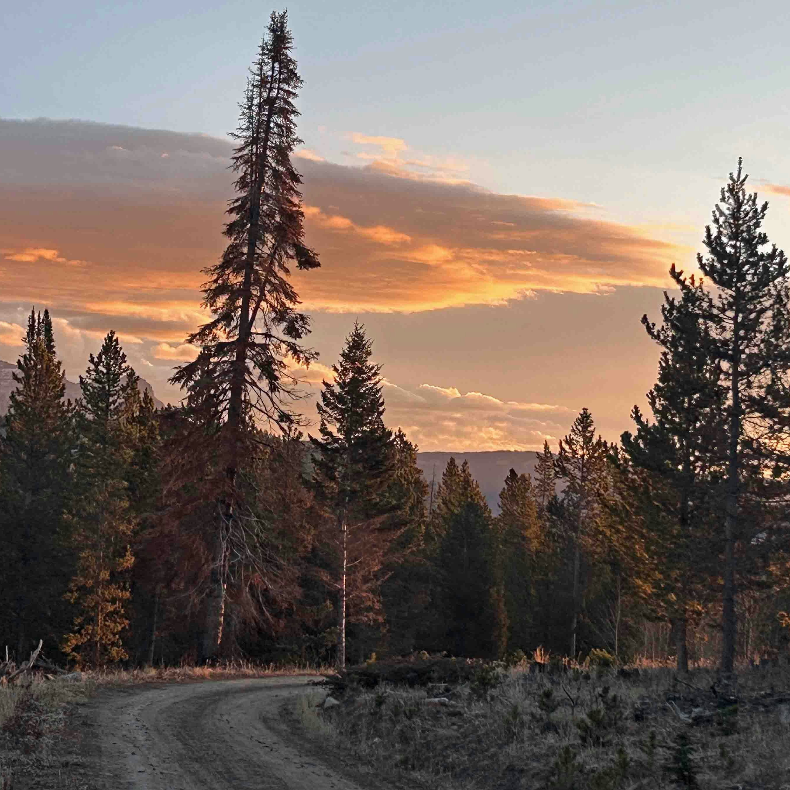 Sunrise small 11 6 25