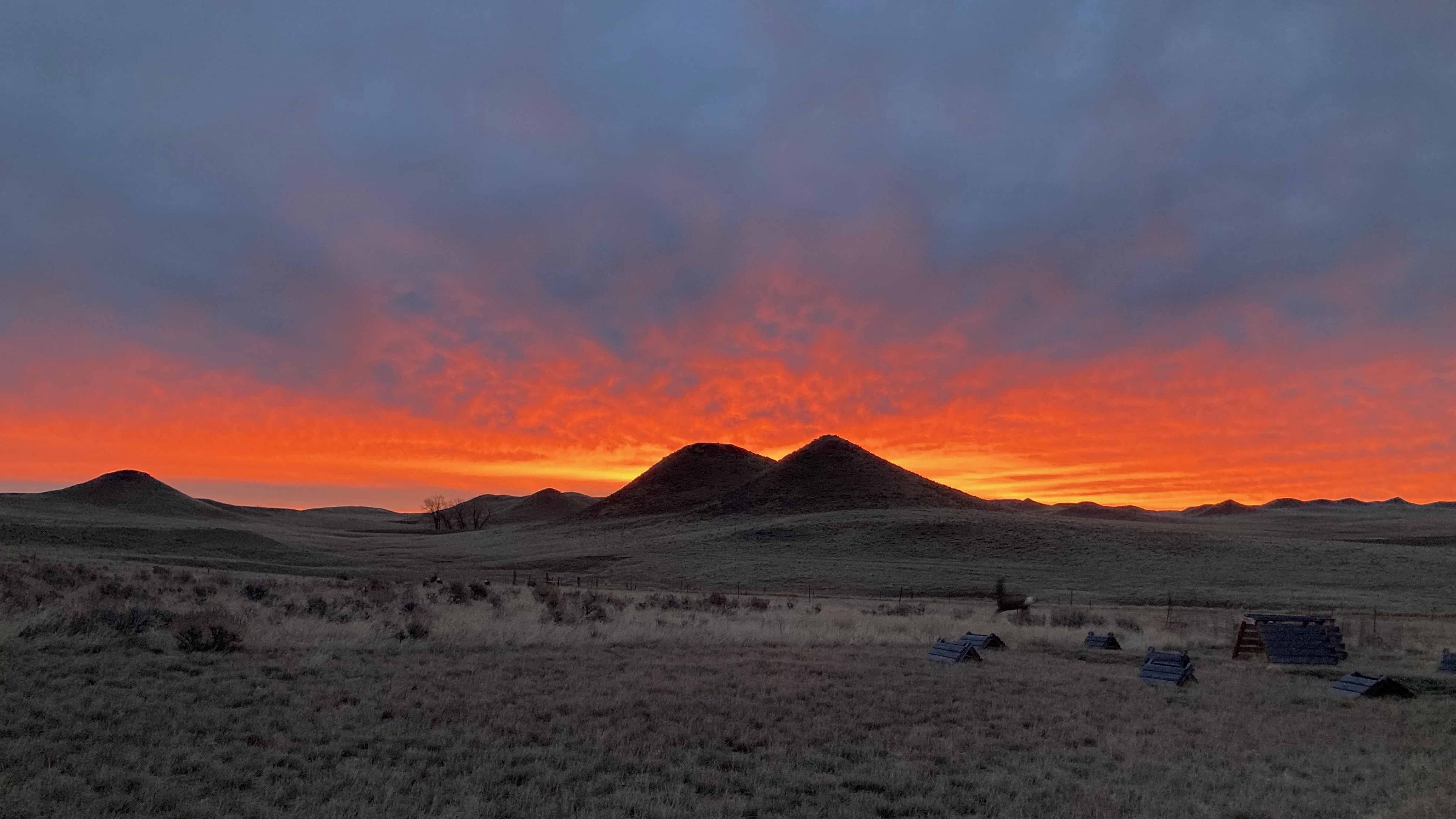 Sunrise small 12 11 25