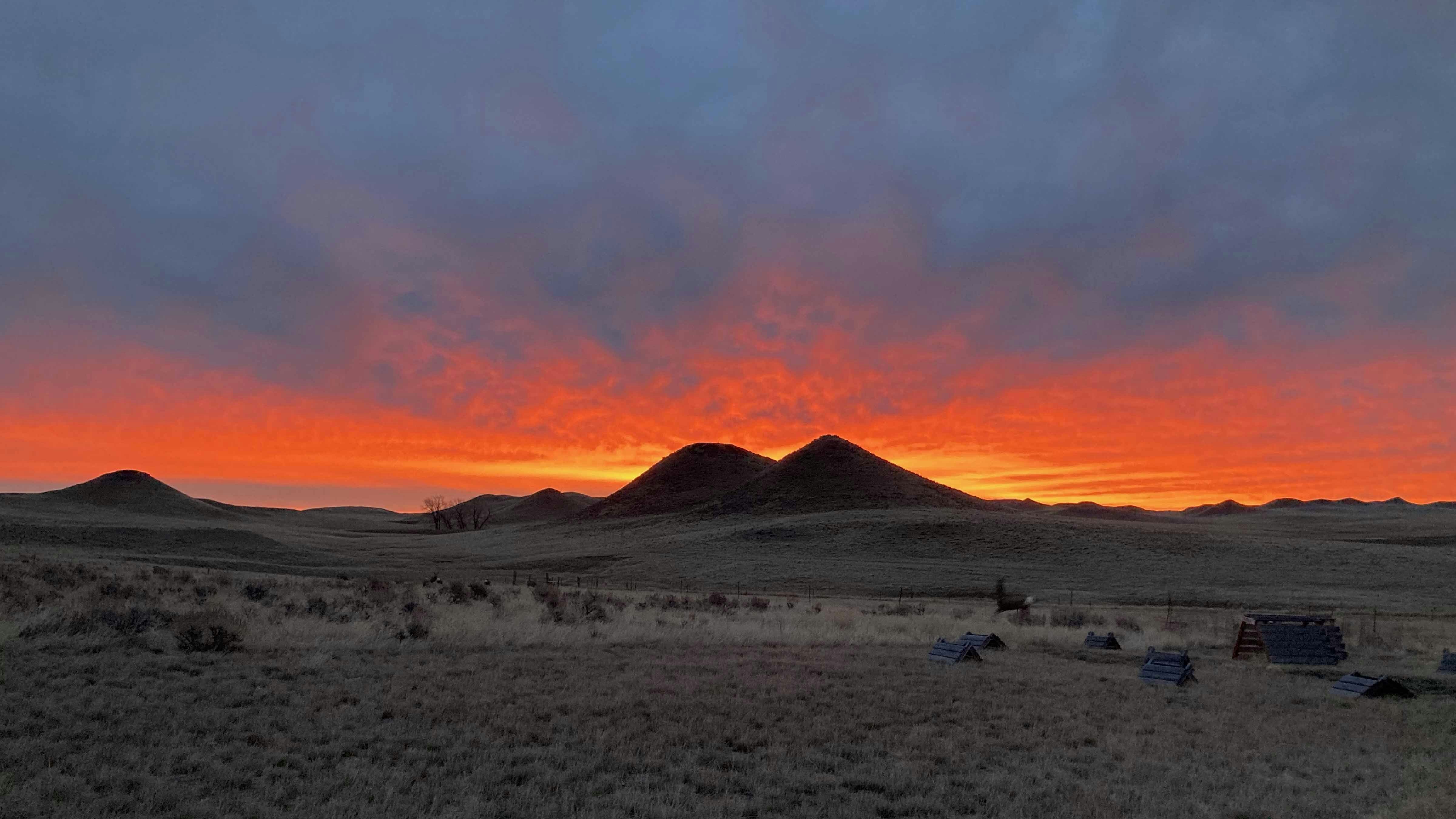 Sunrise small 12 11 25