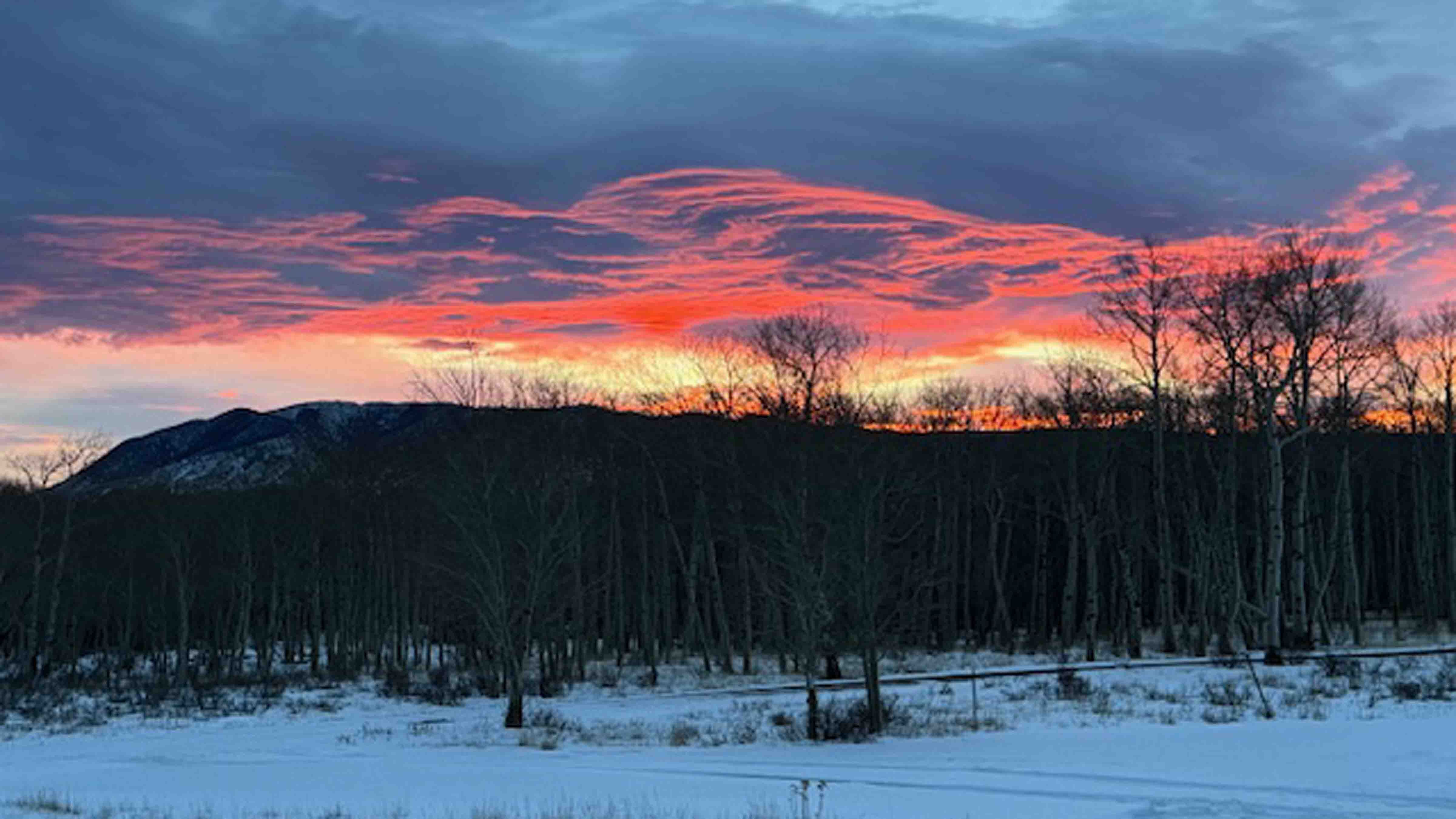 Sunrise small 12 15 25