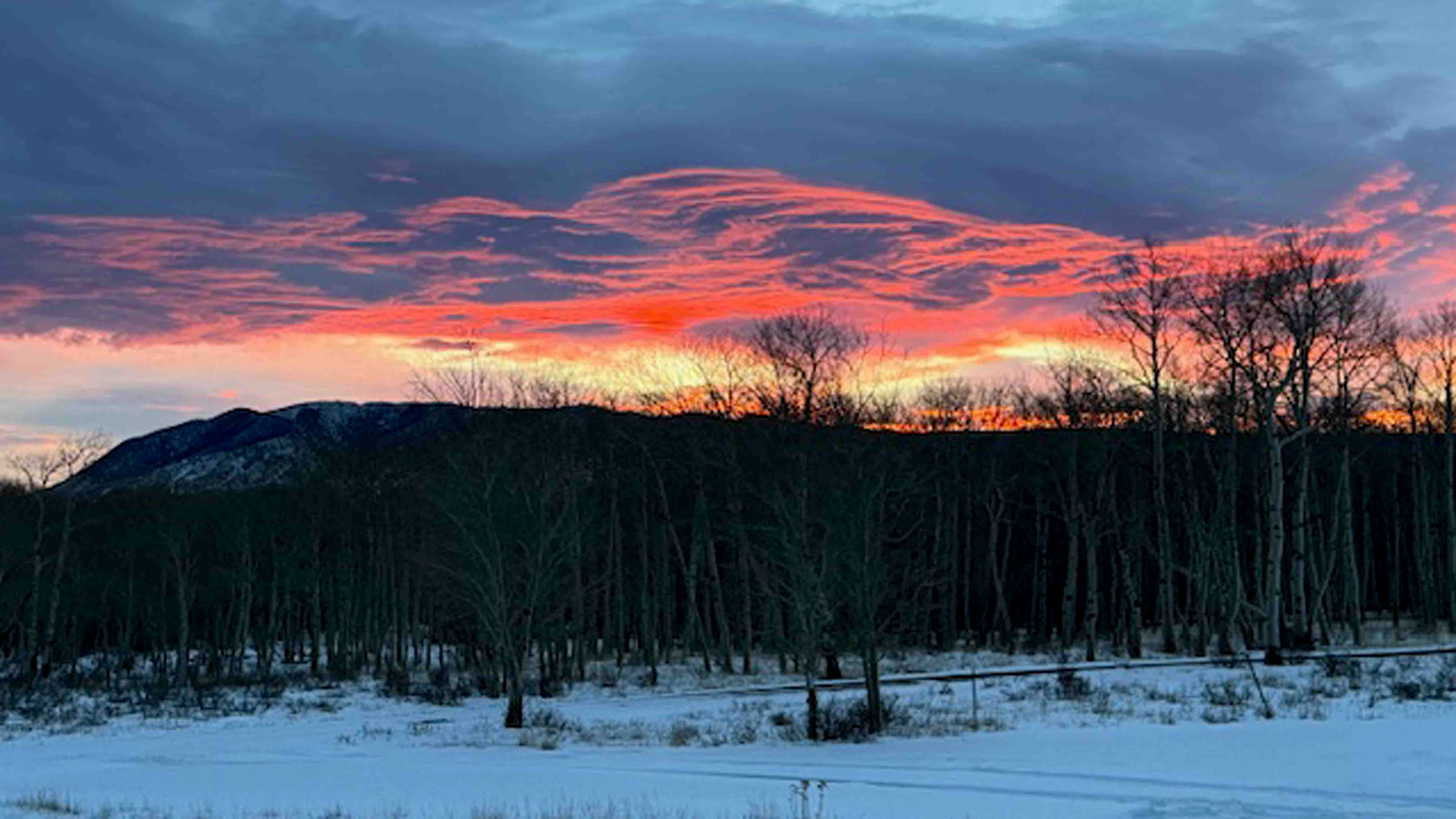 Sunrise small 12 15 25