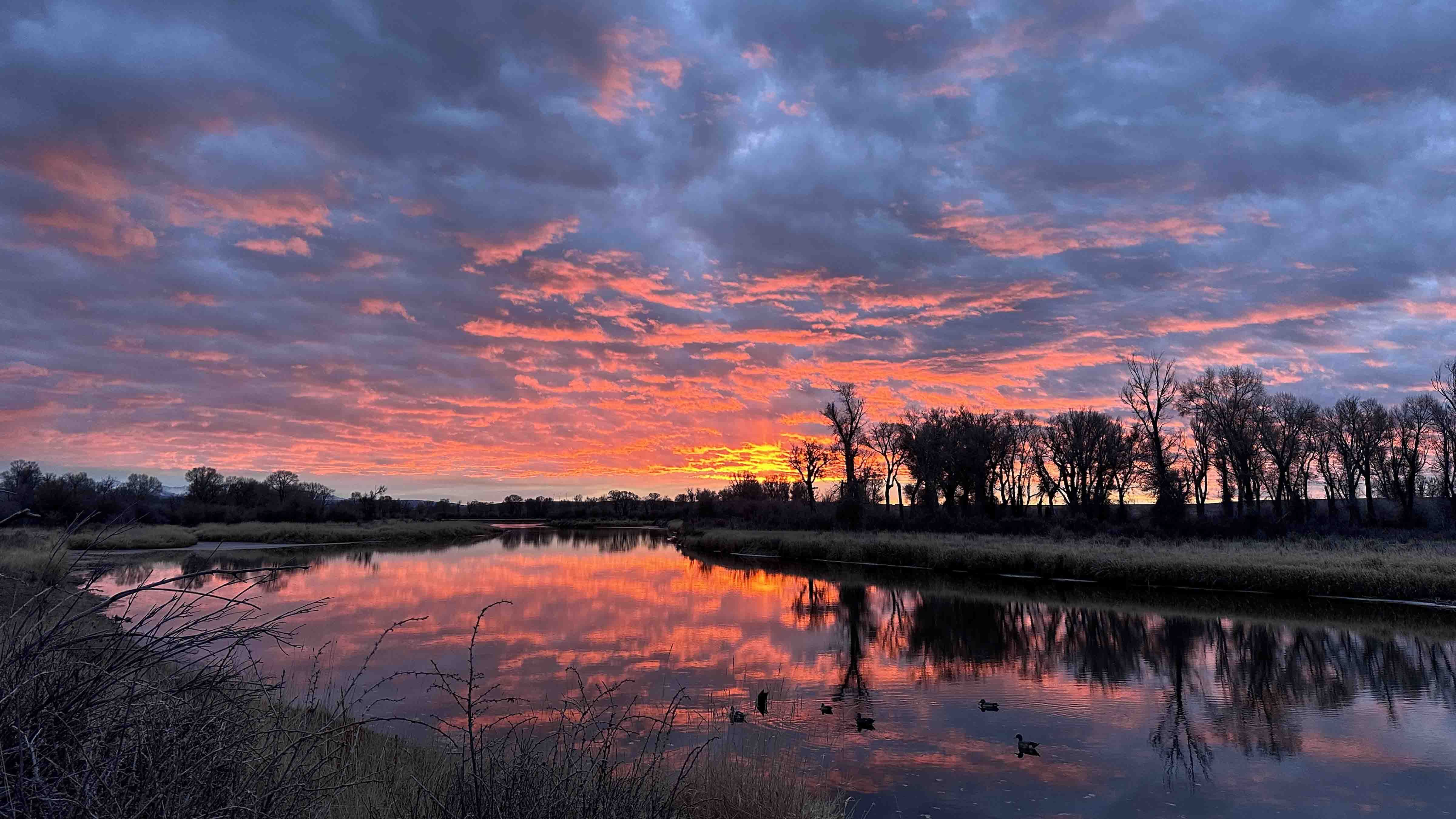 Sunrise small 12 2 25