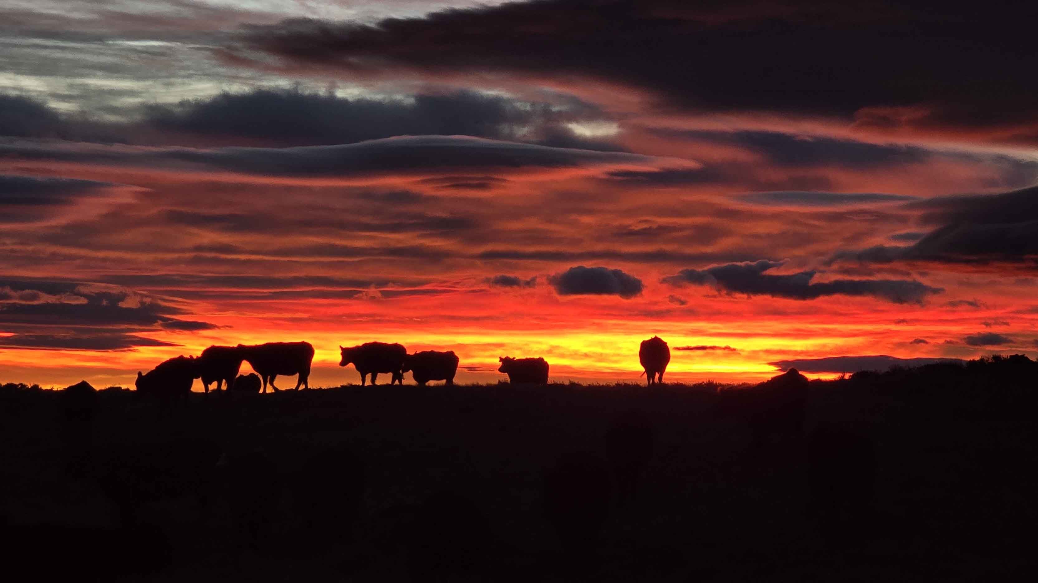 Sunrise small 12 27 25