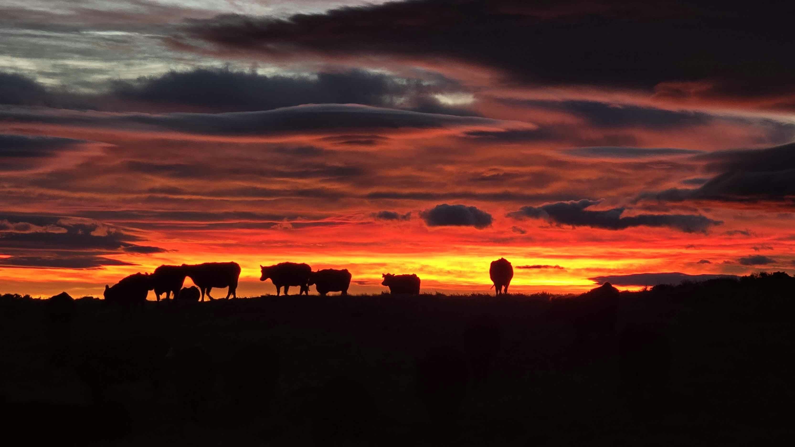 Sunrise small 12 27 25