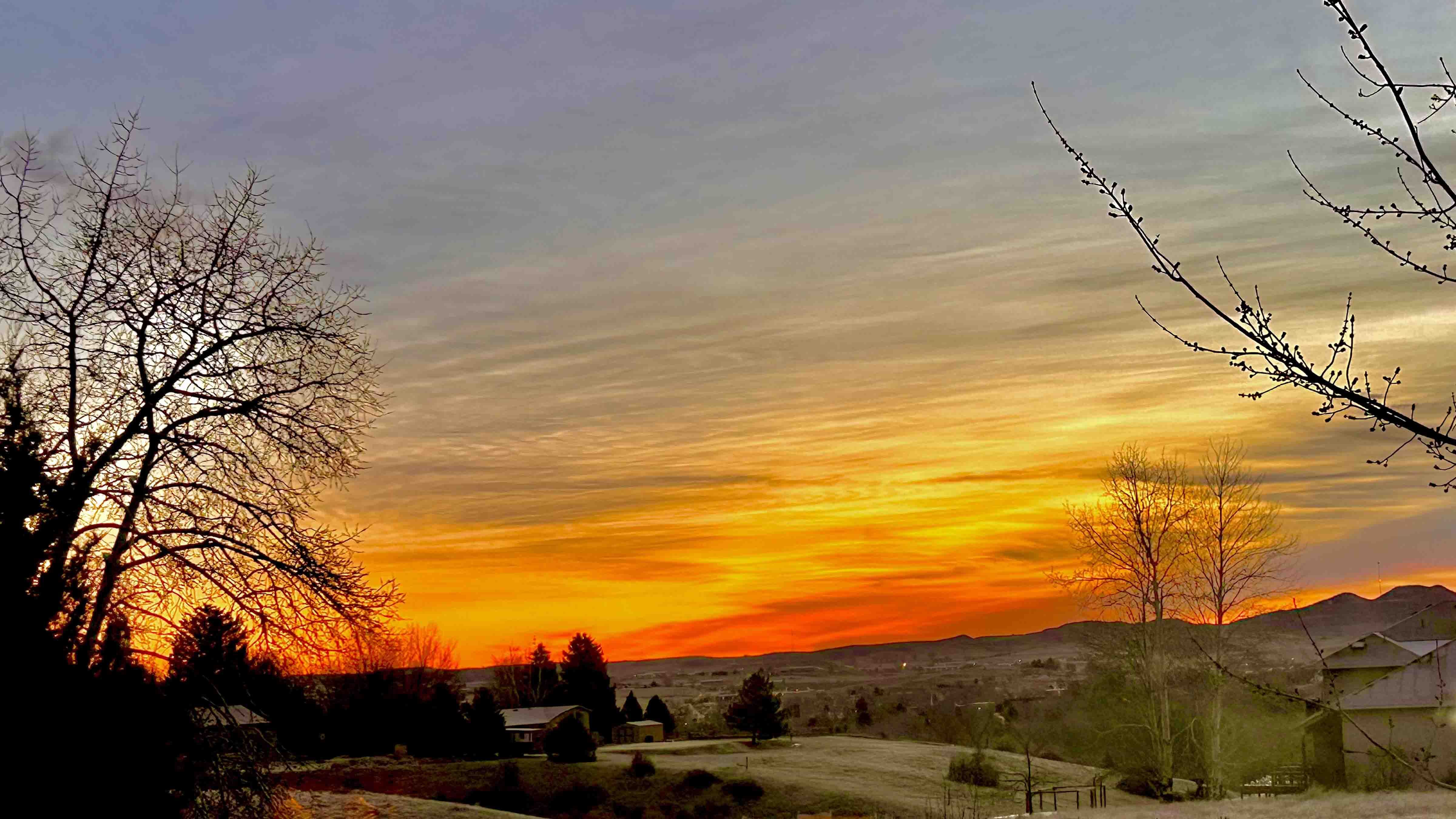 Frosty sunrise in Sheridan. Sadly no snow in February.