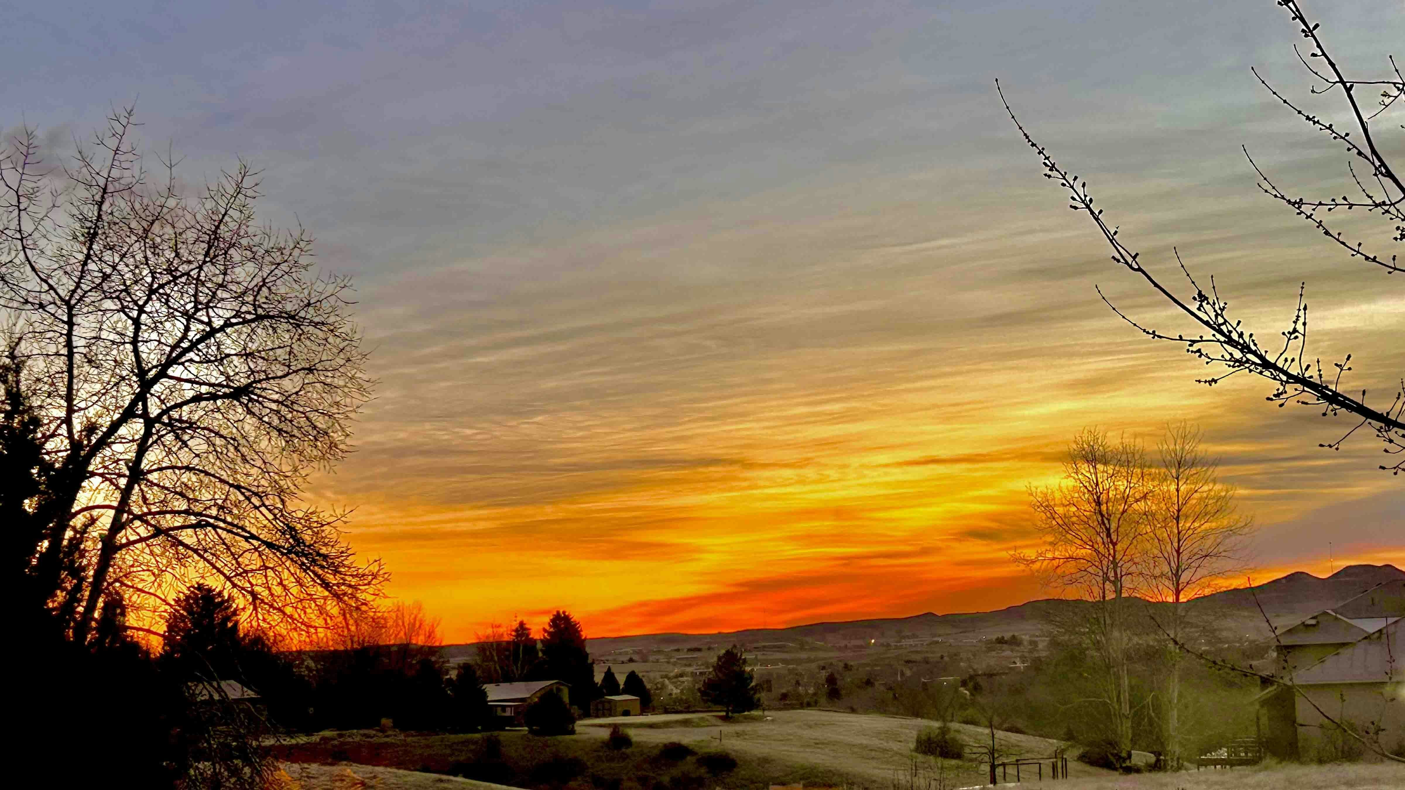 Frosty sunrise in Sheridan. Sadly no snow in February.