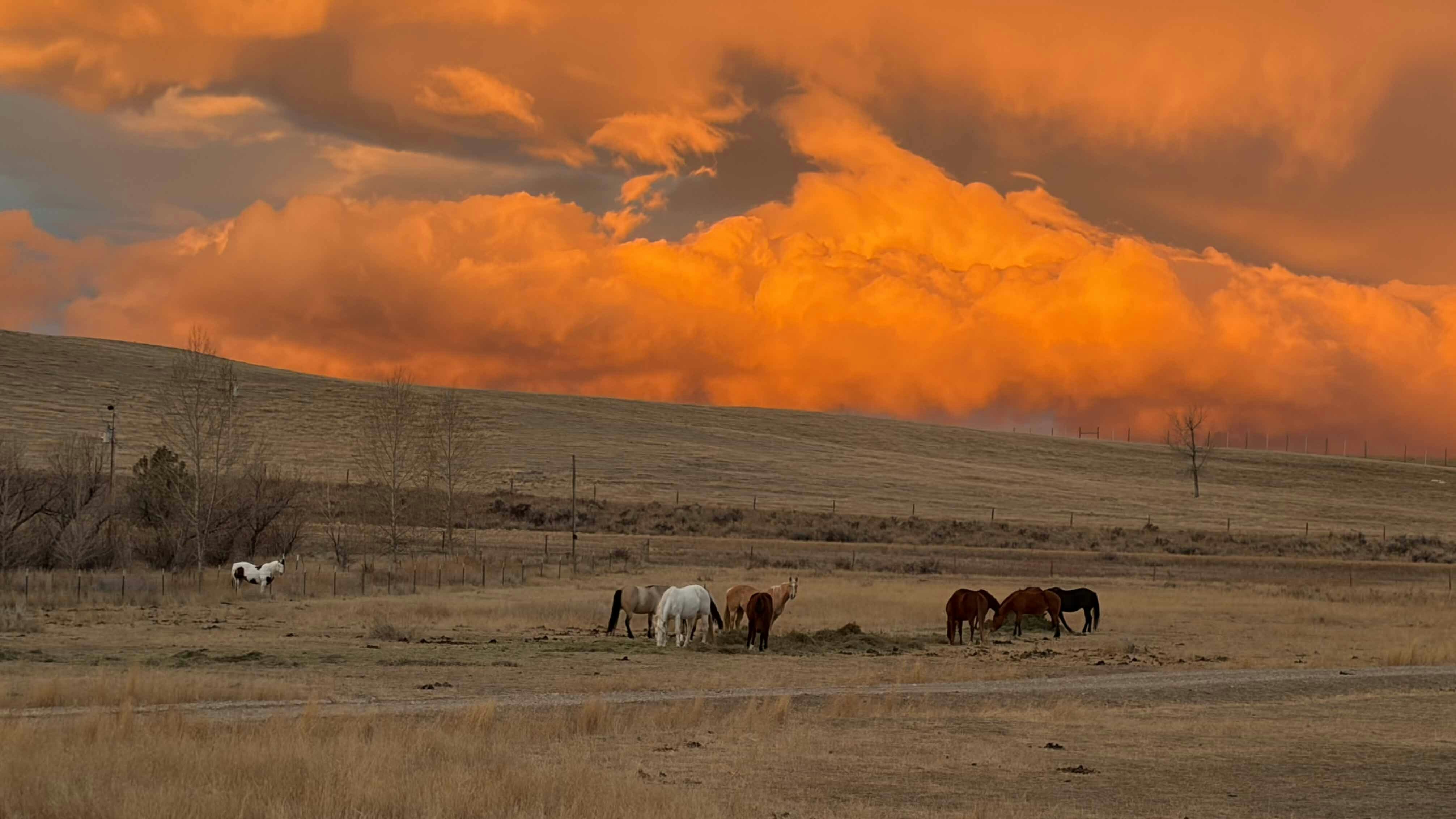 Sunrise small 2 19 26