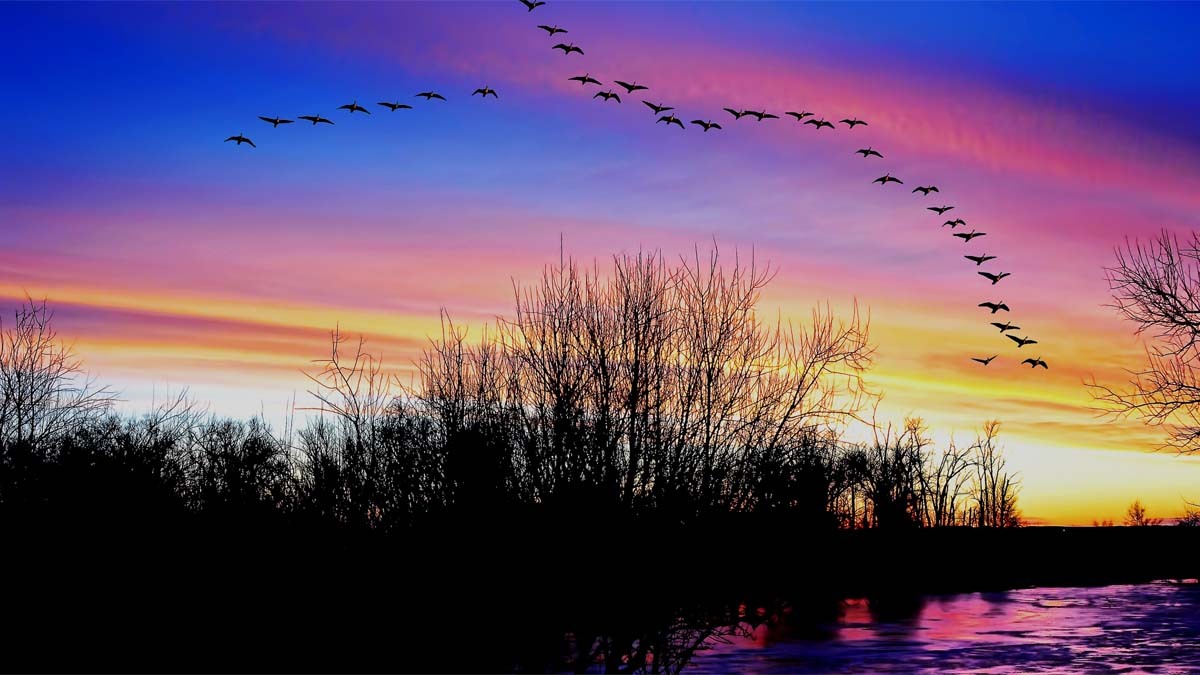 Sunrise small 2 28 26