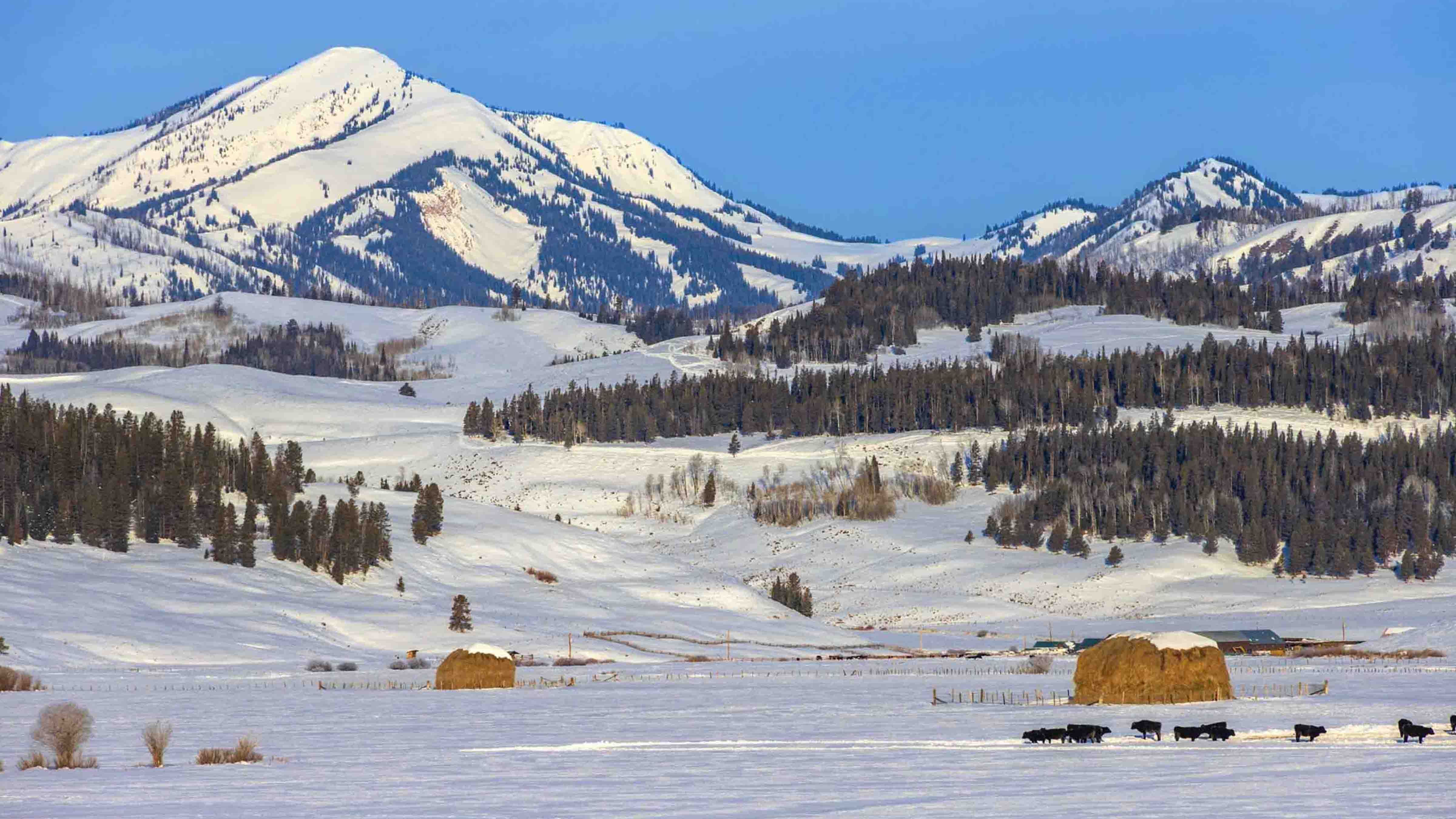 Sunrise small 2 4 26