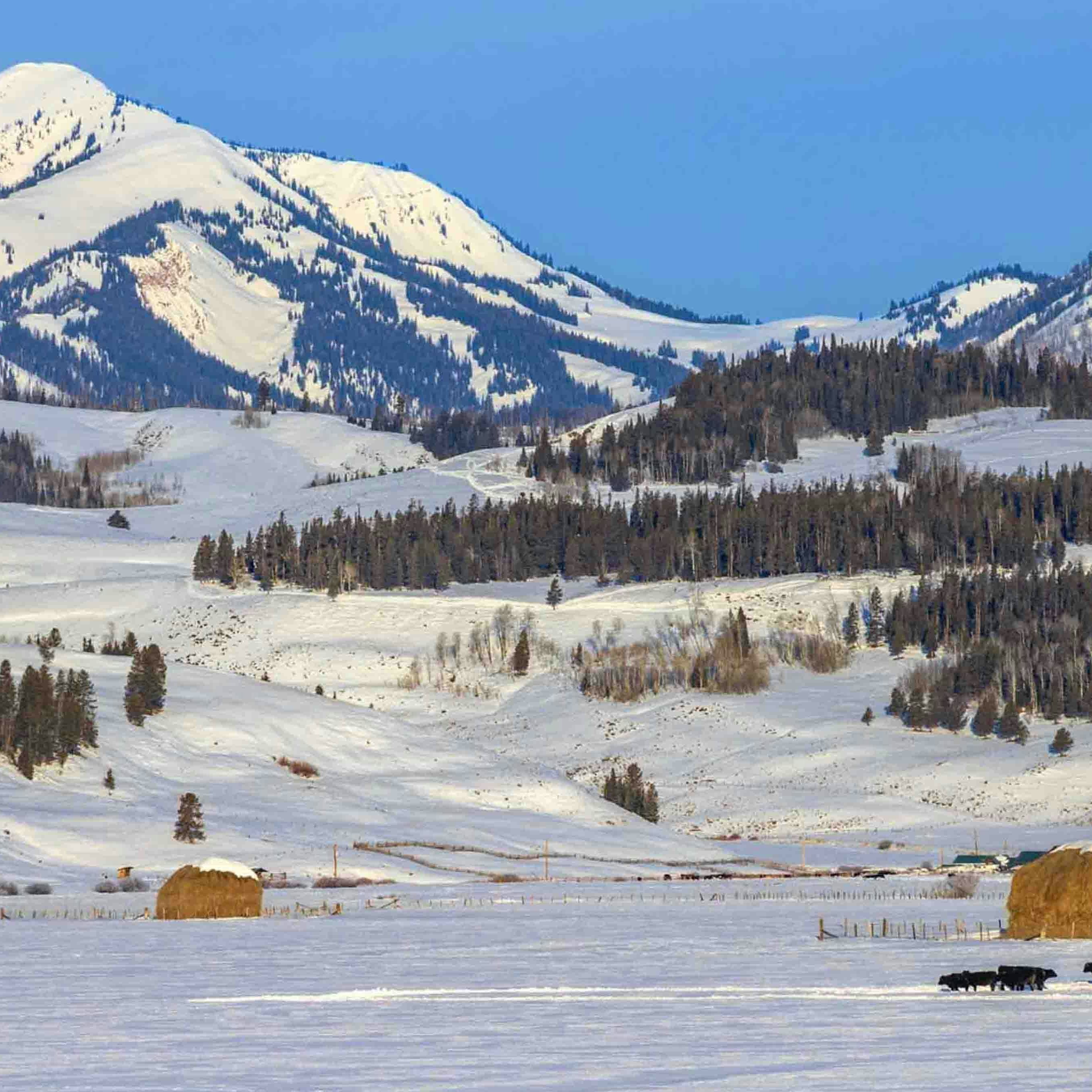 Sunrise small 2 4 26