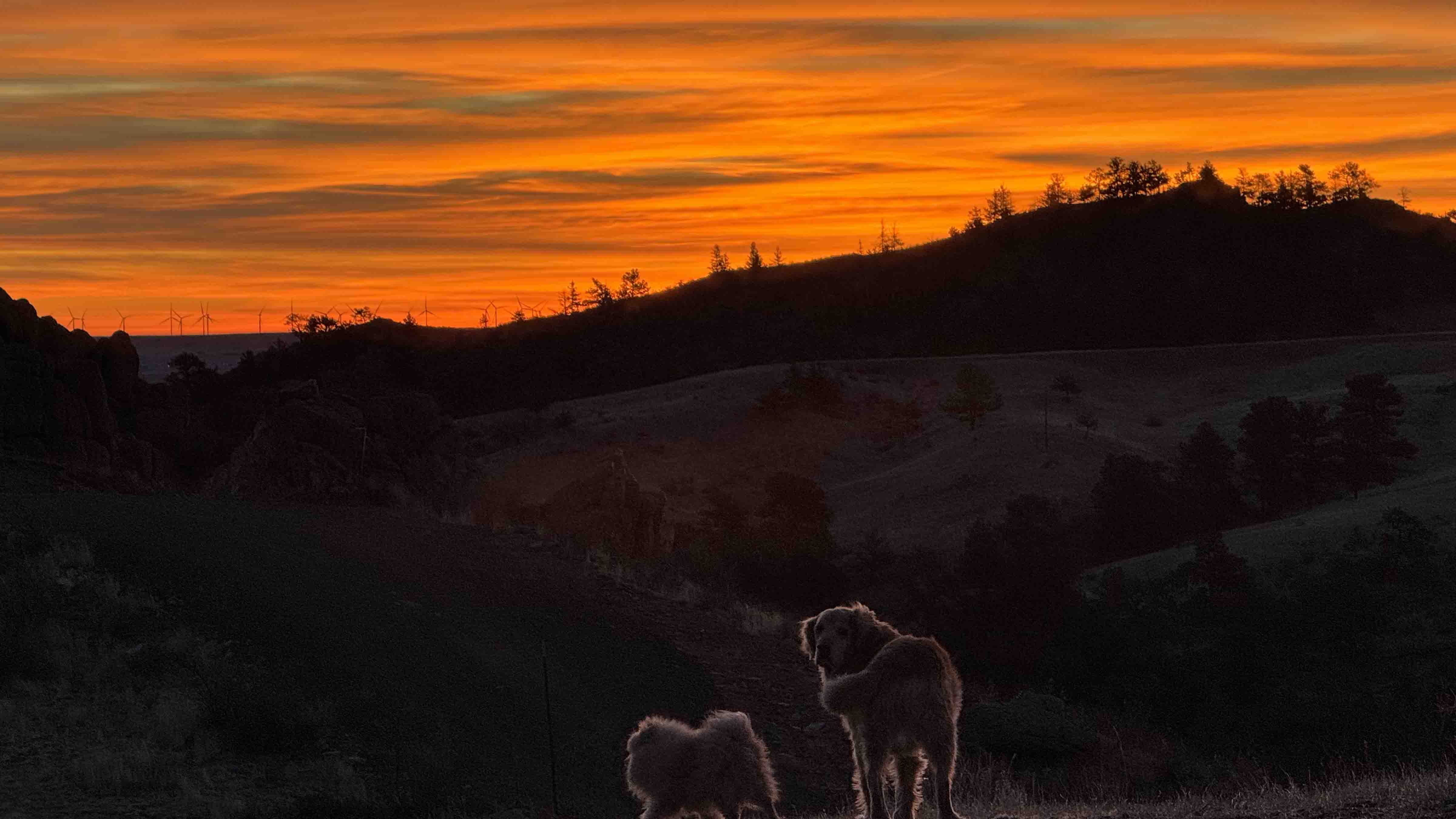 Sunrise small 2 6 26 v2