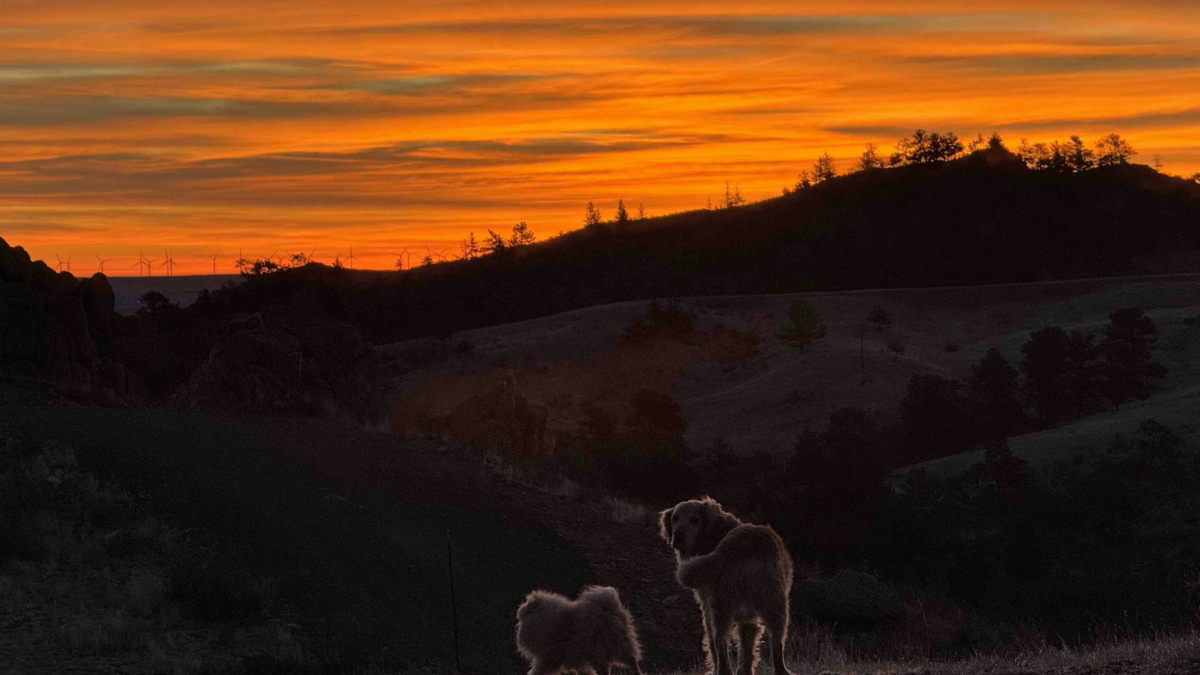 Sunrise small 2 6 26 v2