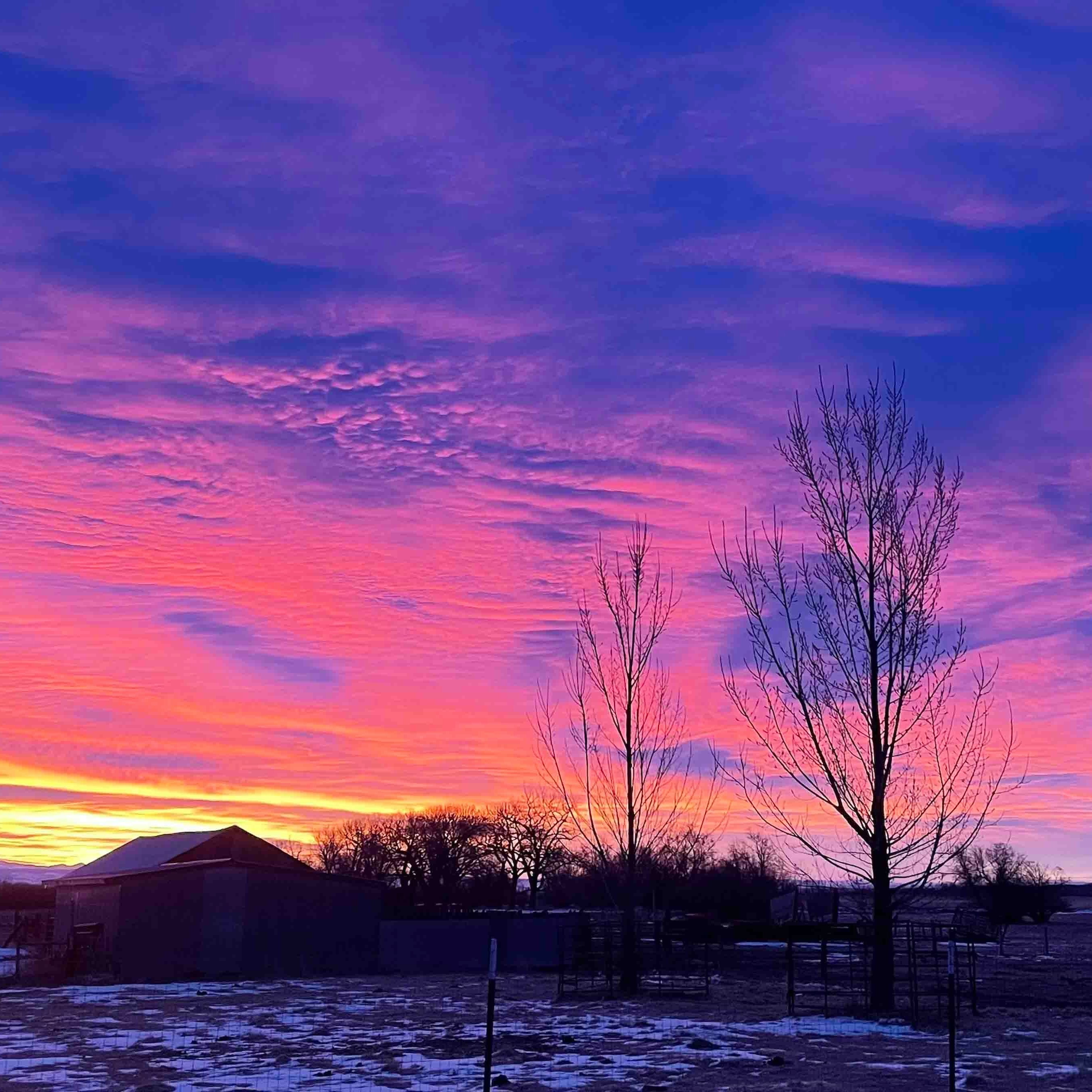 Sunrise small 3 15 26