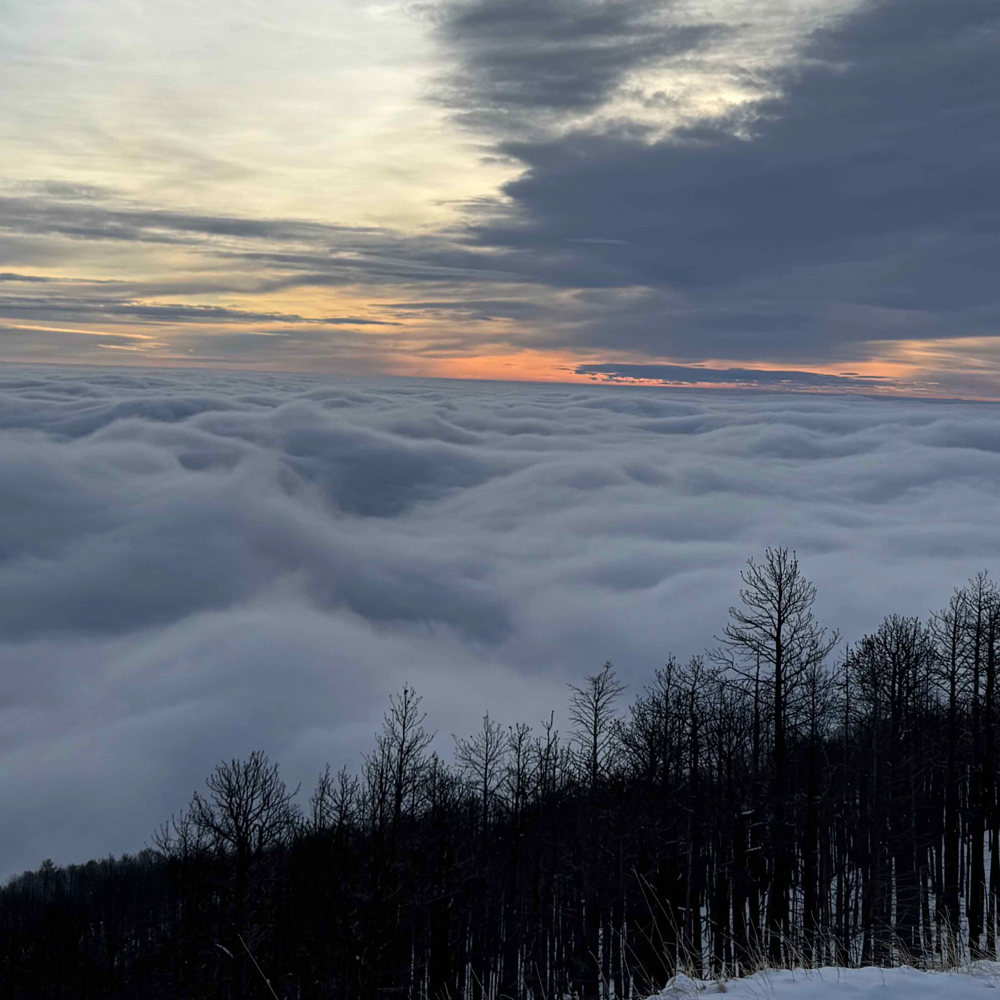 Sunrise small 3 20 26