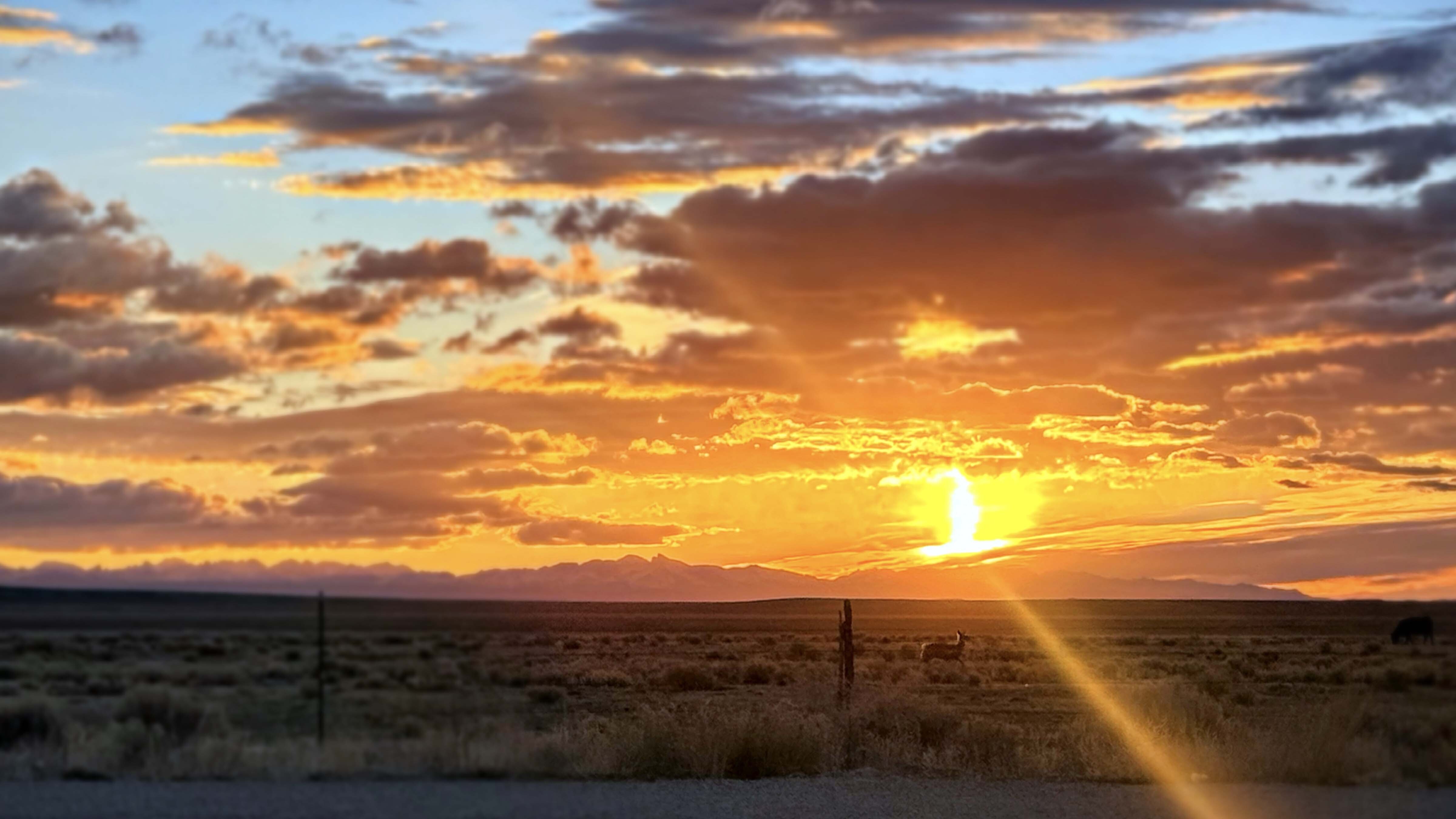 Sunrise small 3 31 26