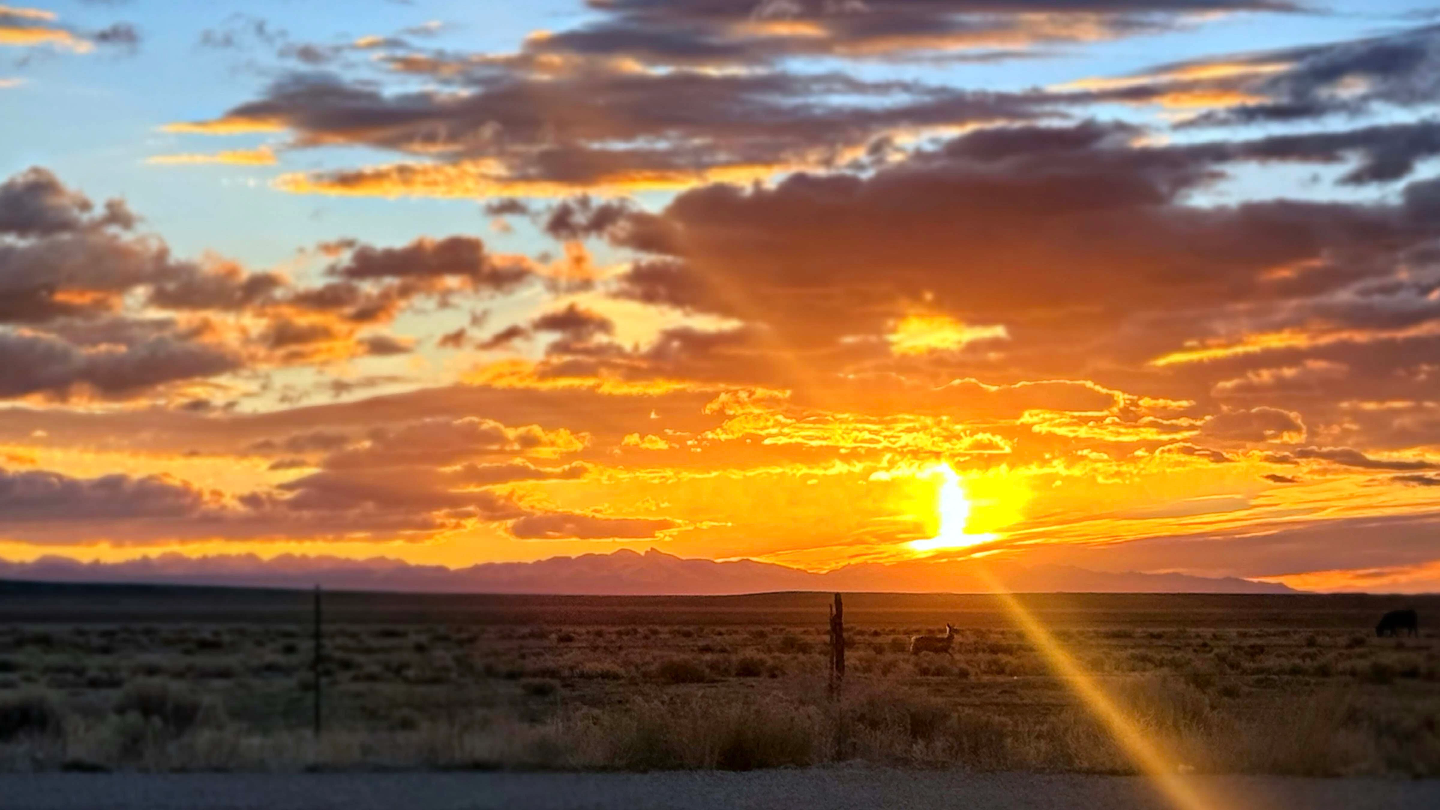 Sunrise small 3 31 26