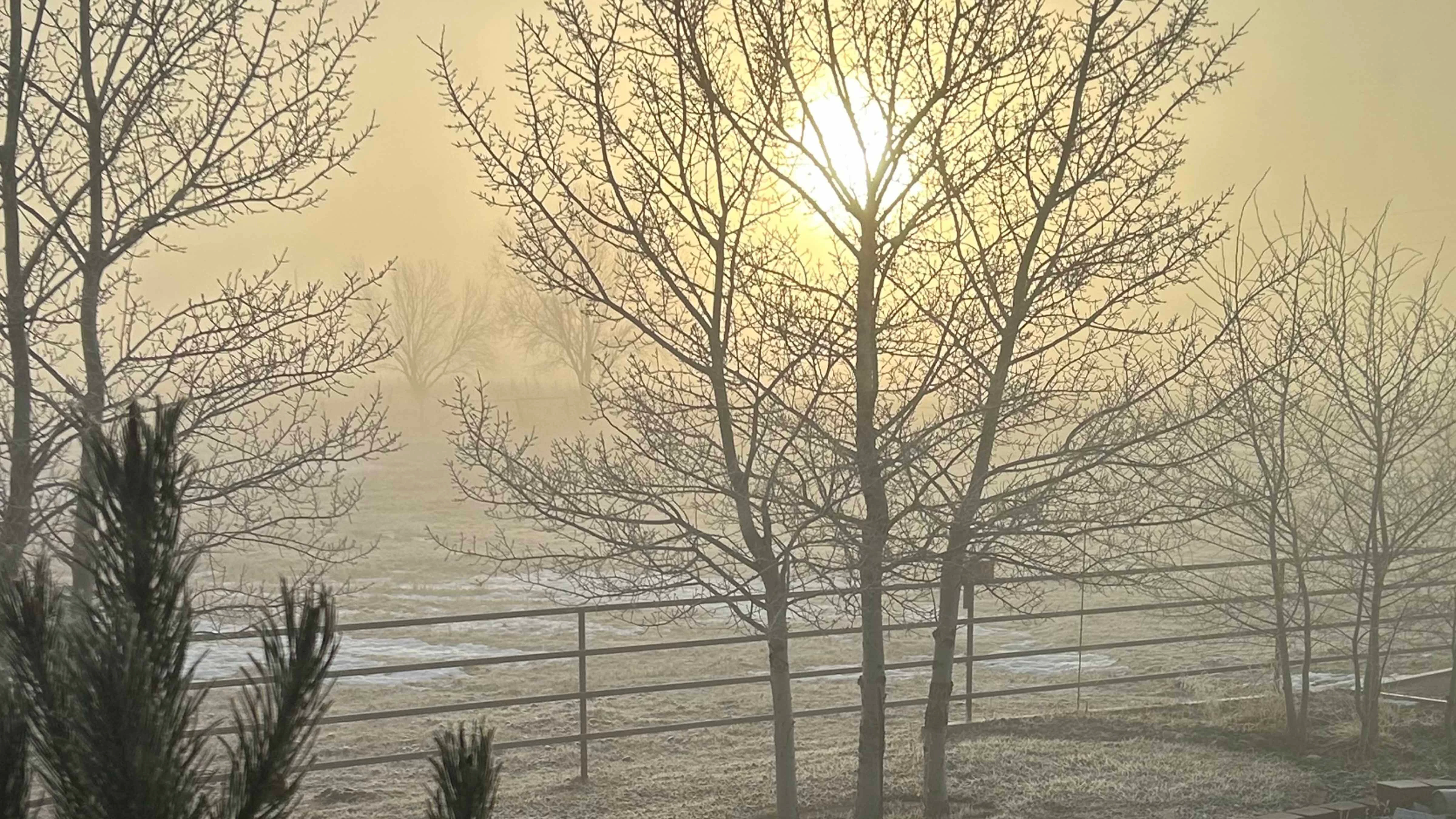 Sunrise small 4 14 26