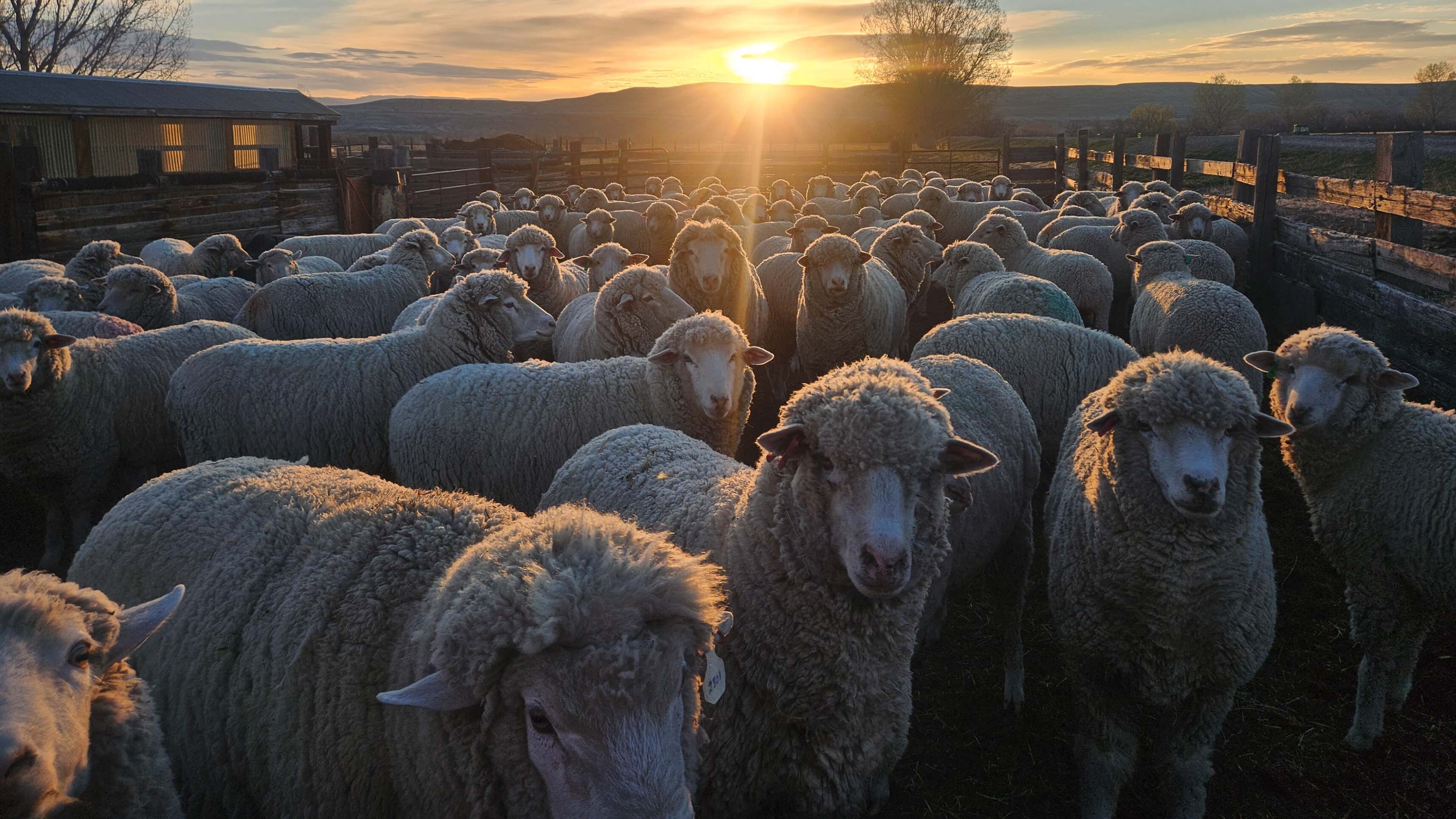 Sunrise small 4 15 26