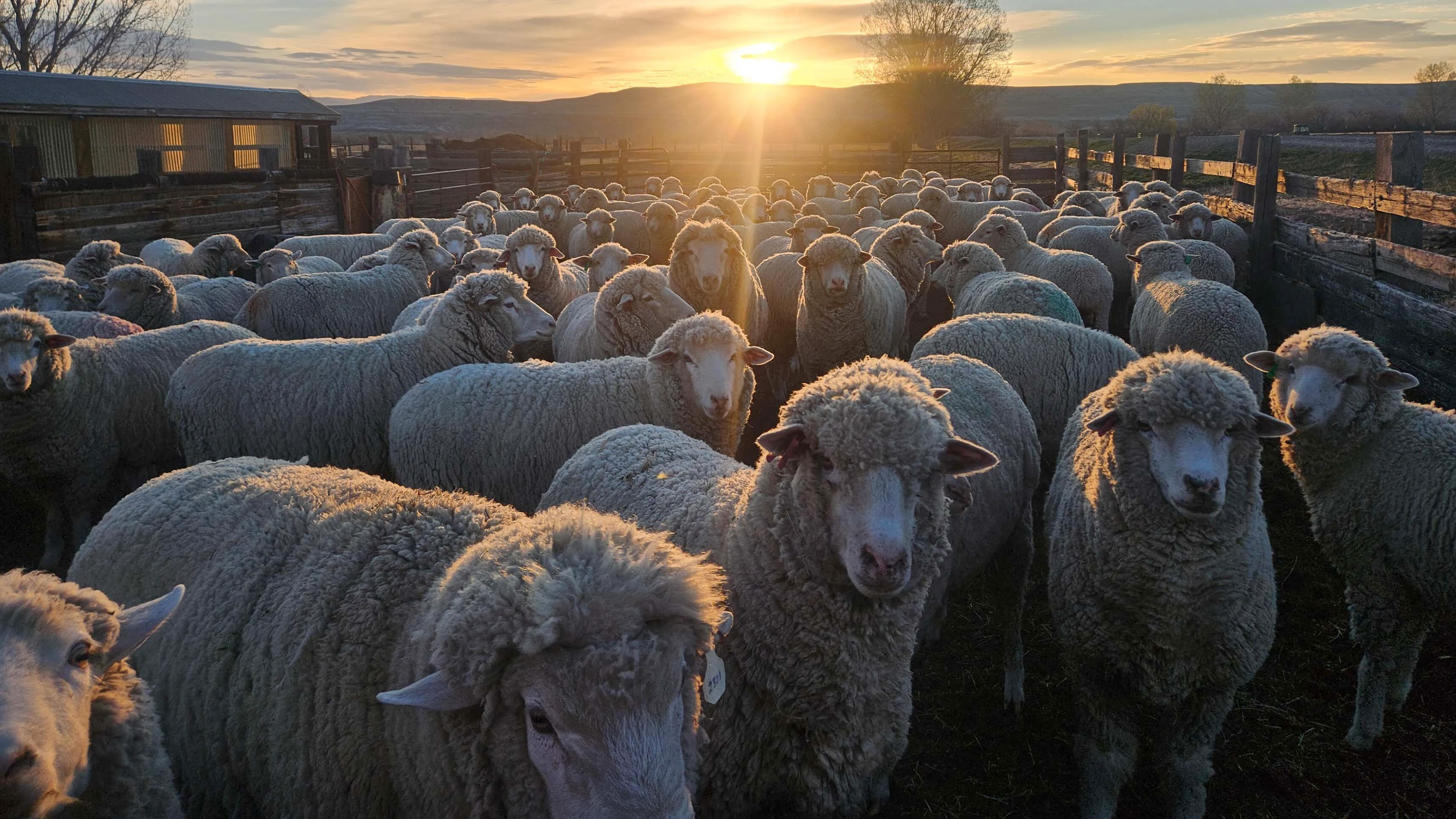 Sunrise small 4 15 26