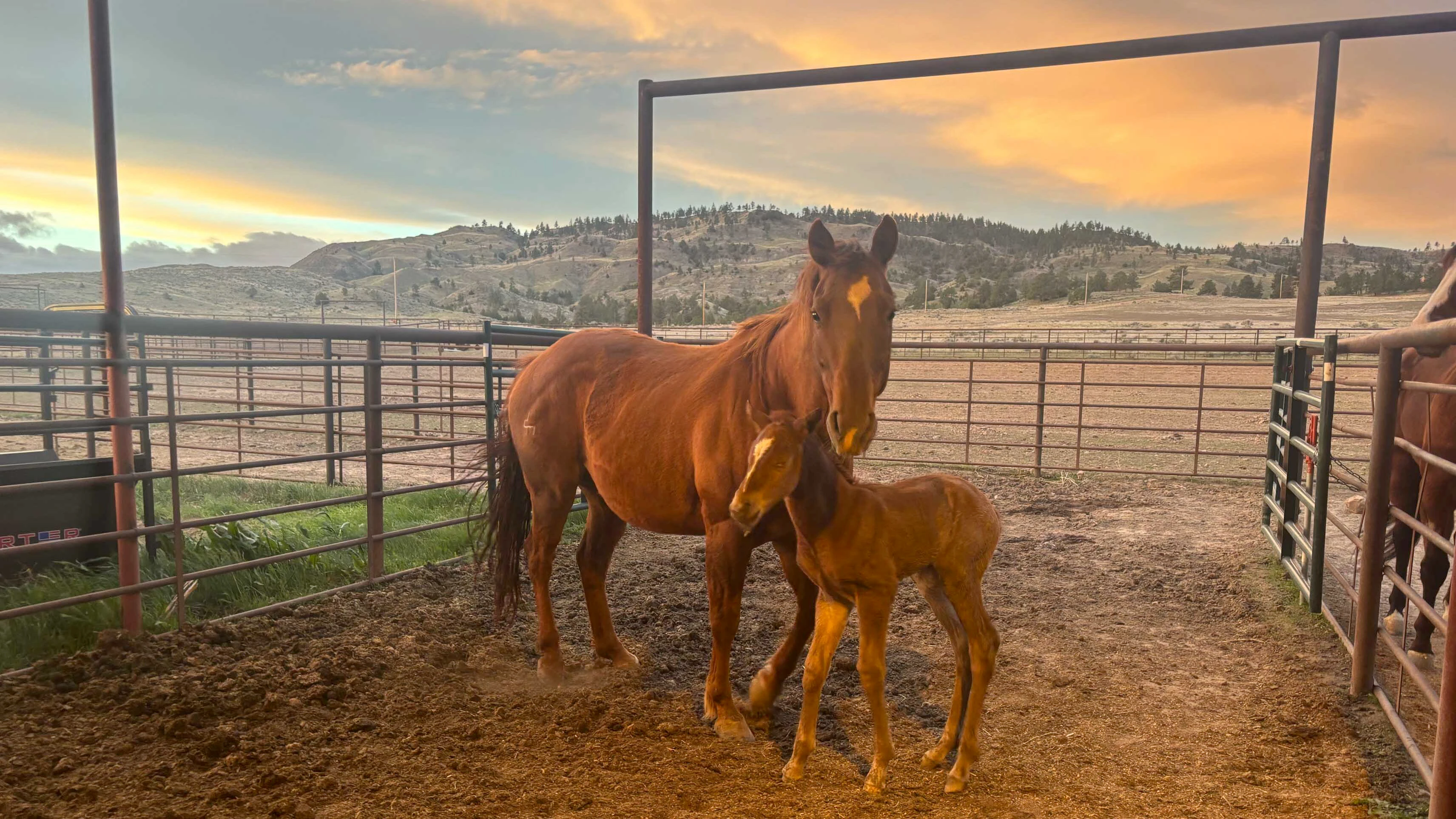 Sunrise small 4 25 26