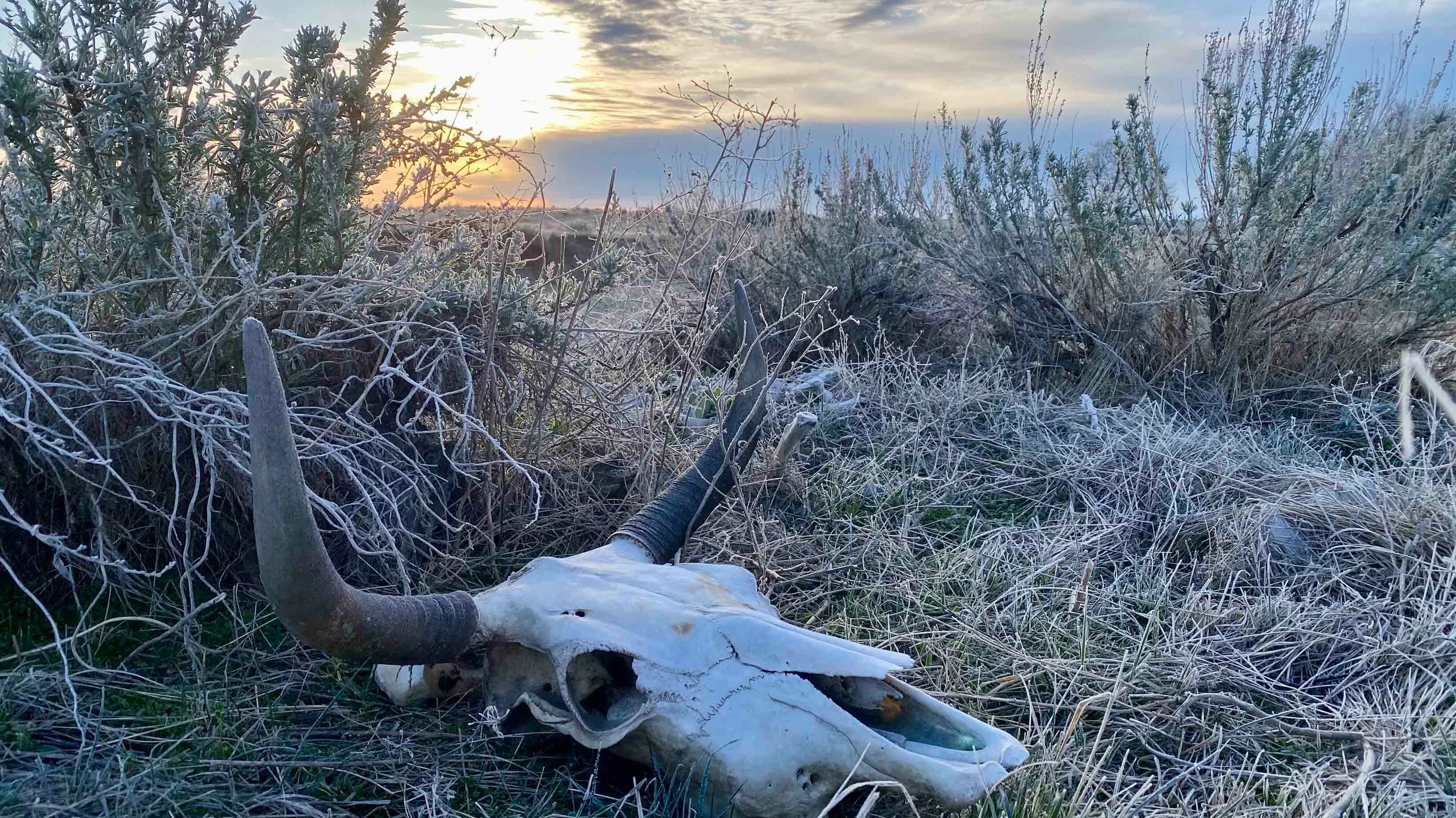 Sunrise small 4 30 26