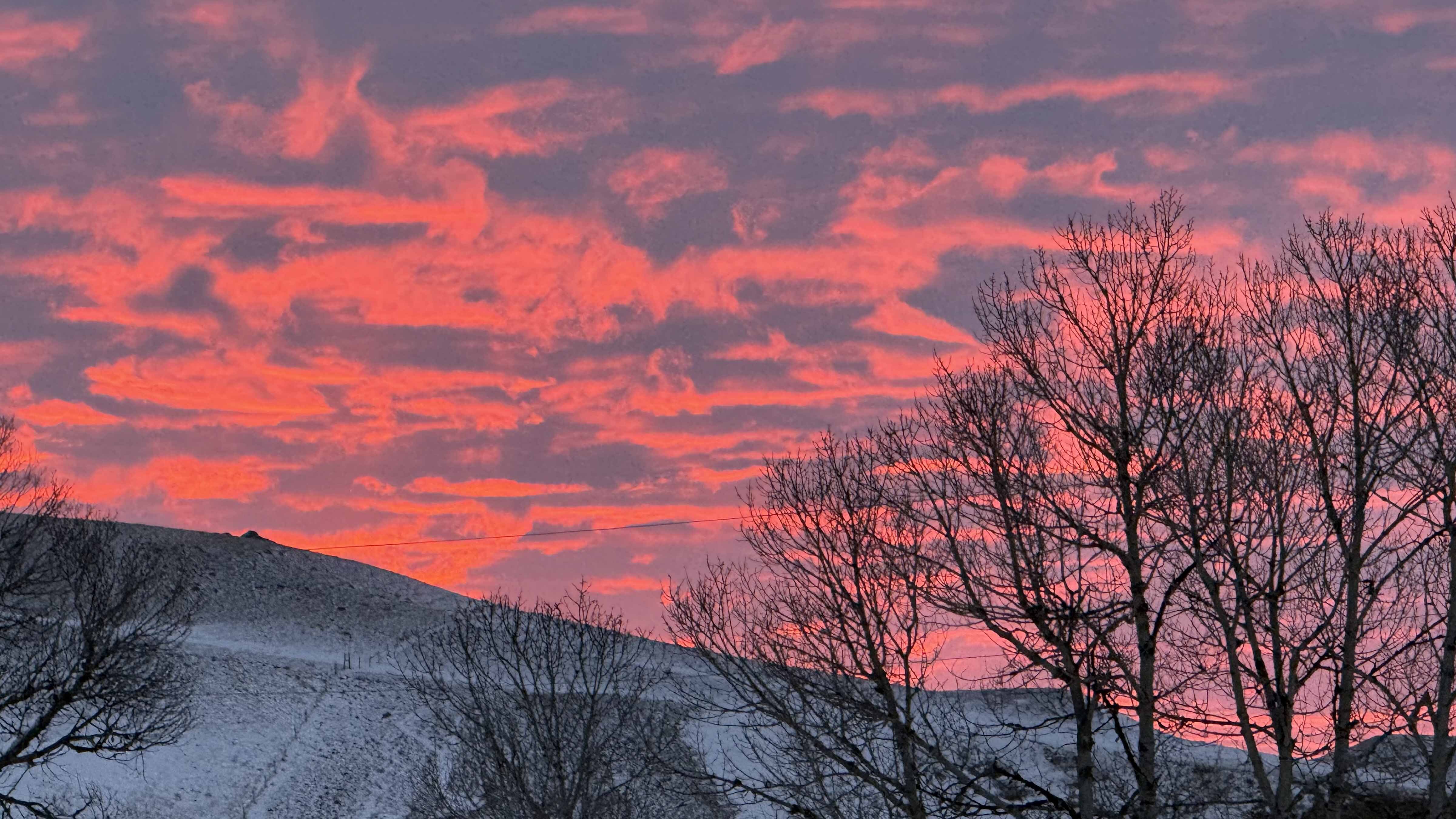 Sunrise small 4 8 26