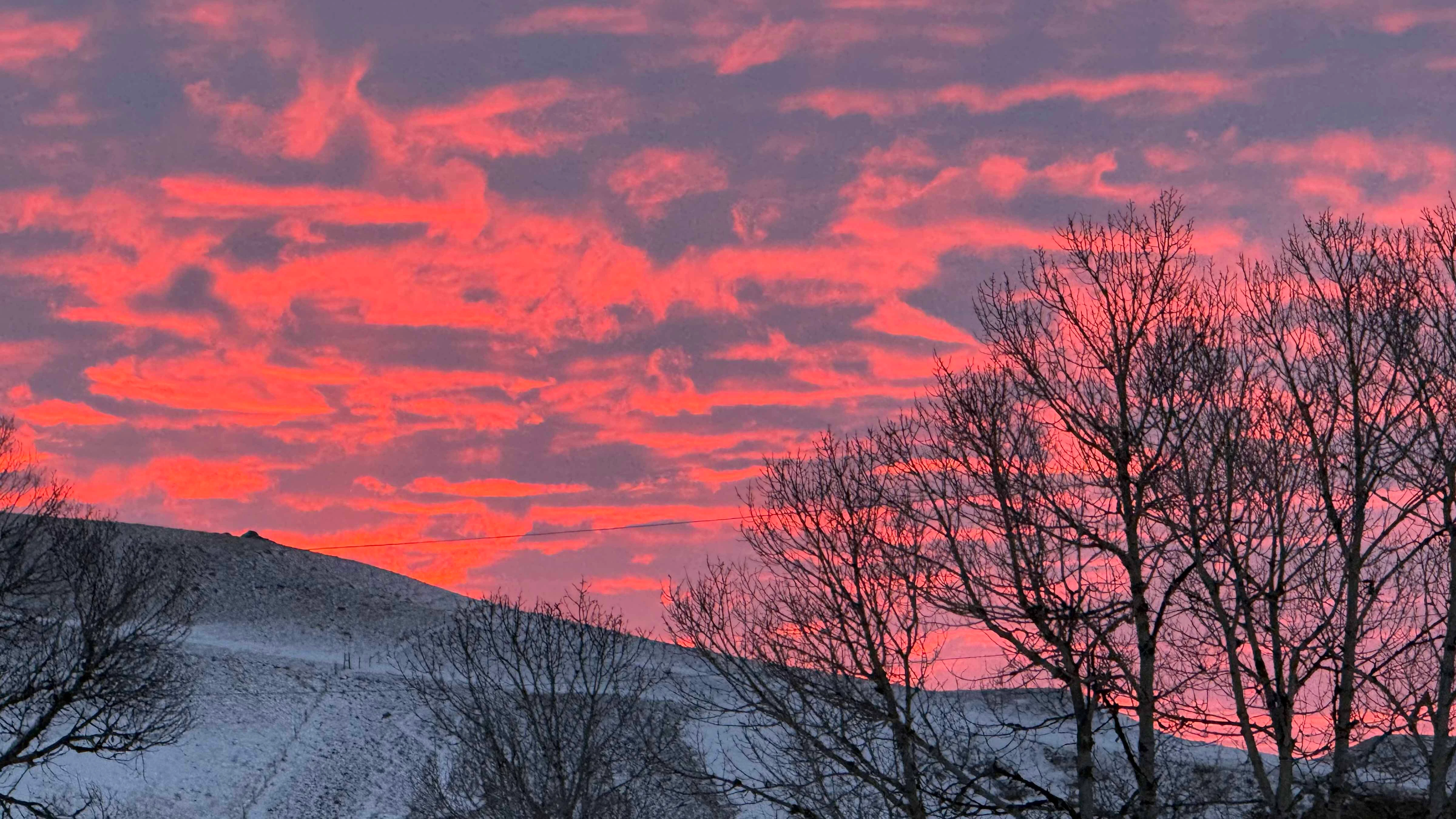 Sunrise small 4 8 26