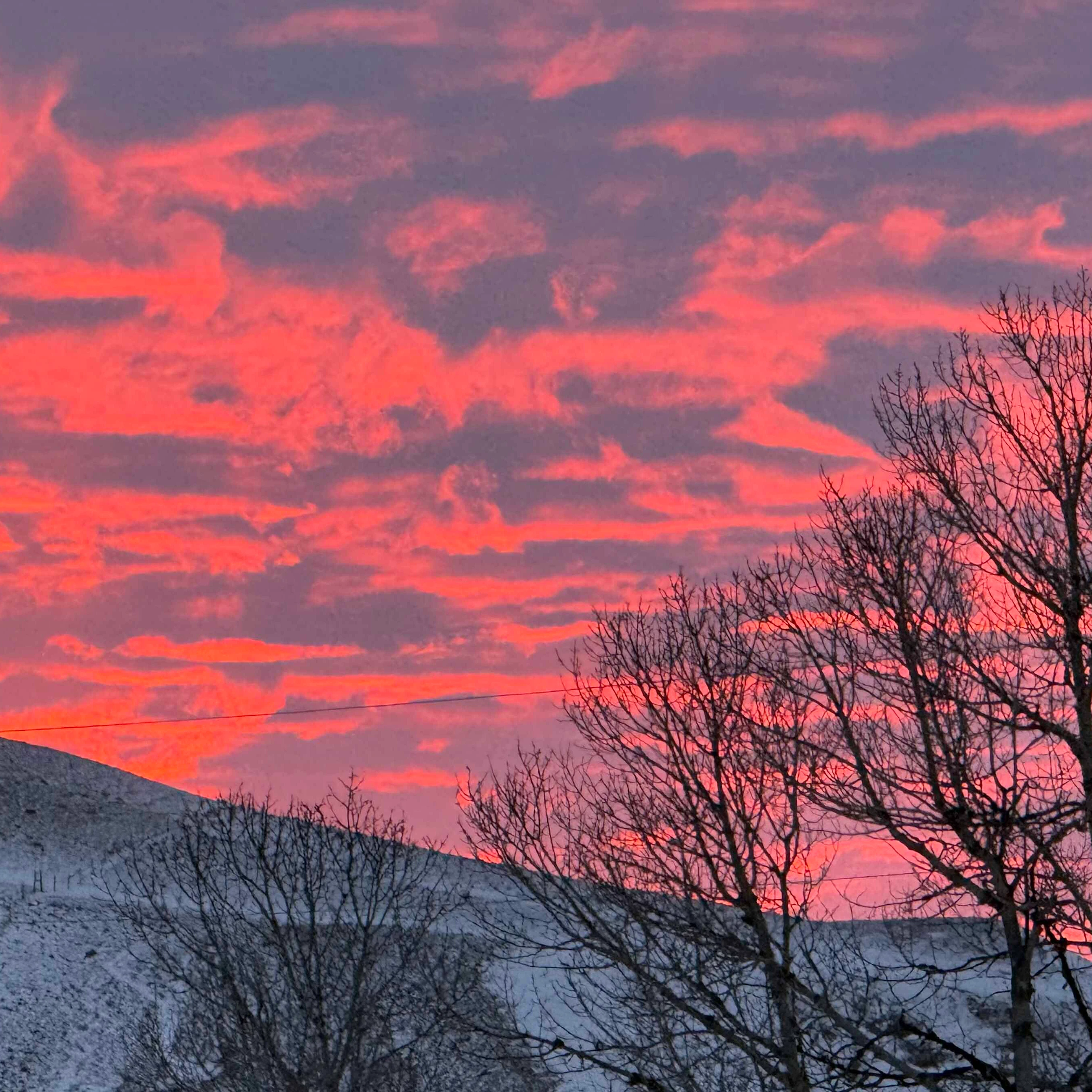 Sunrise small 4 8 26